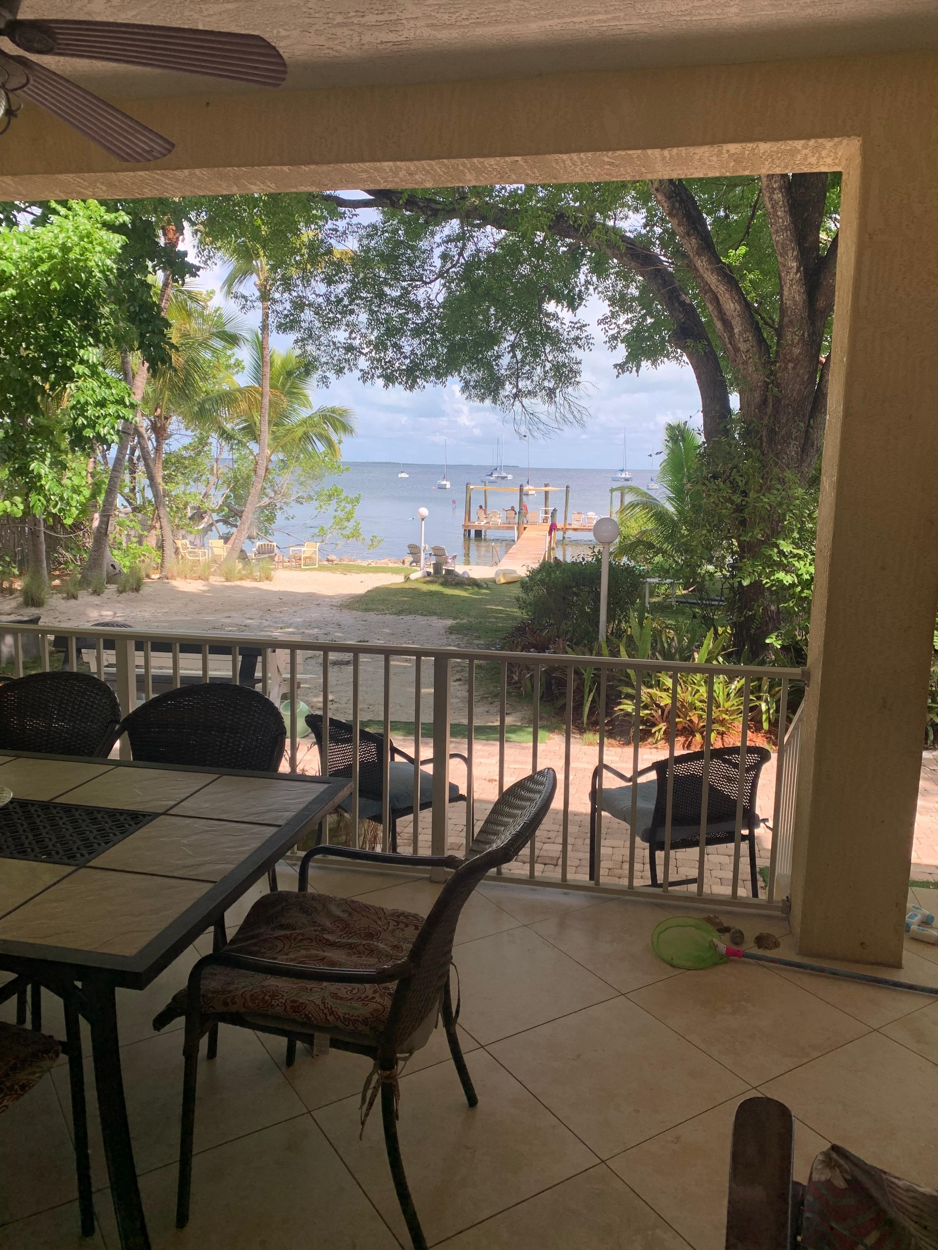 View from the dining room