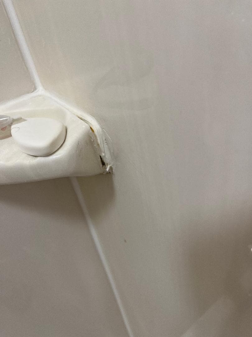 Shower Soap dish missing caulk
