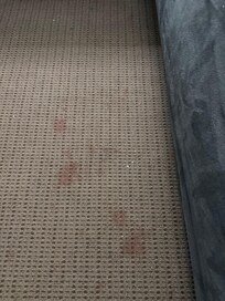 More stains on carpet.
