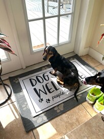 Resting weiner