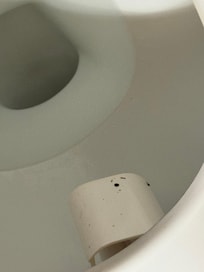 Feces left on bidet