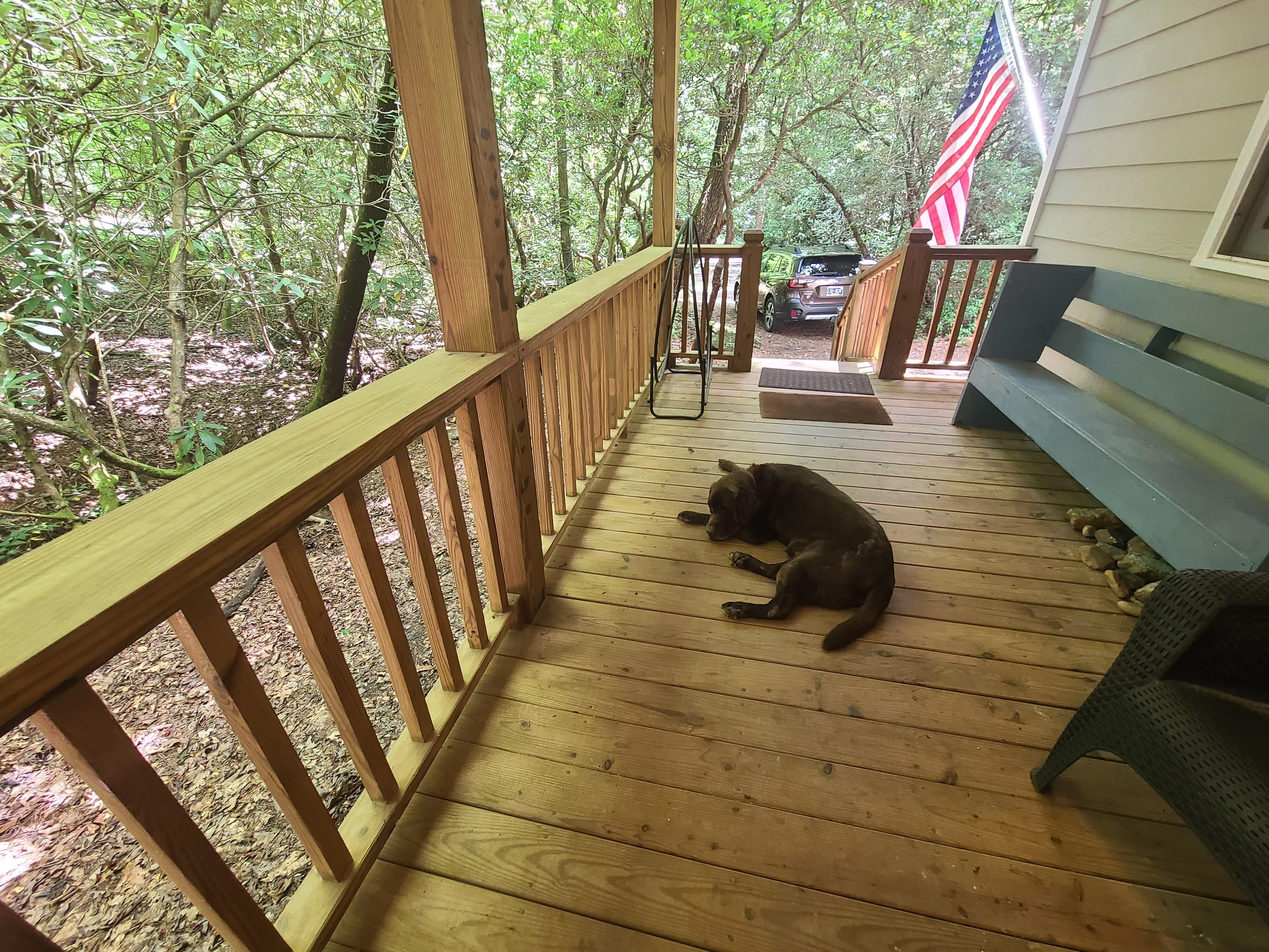 Lazing on the porch