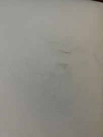Hair on duvet