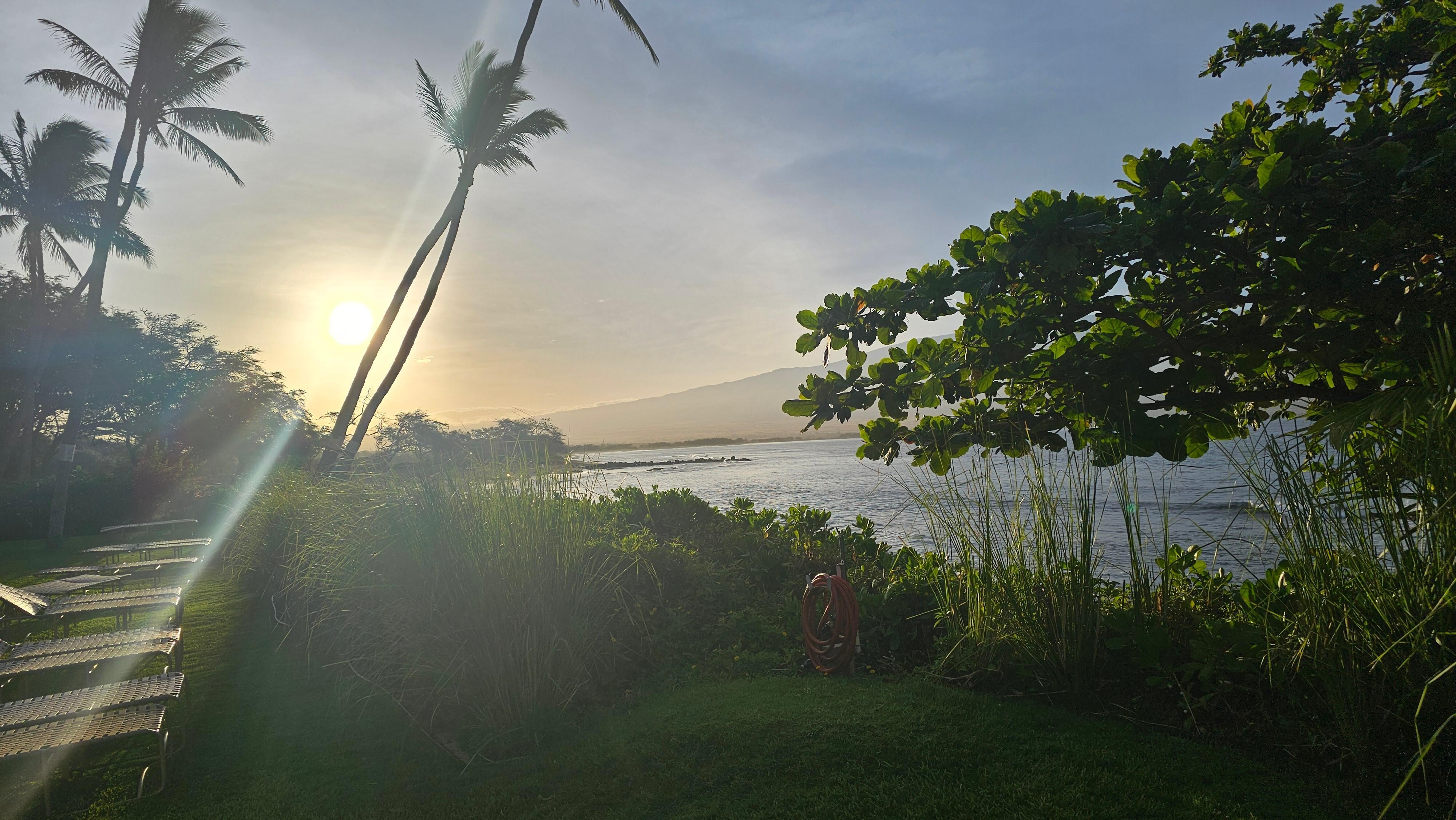 Literally a 20 sec walk from the condo