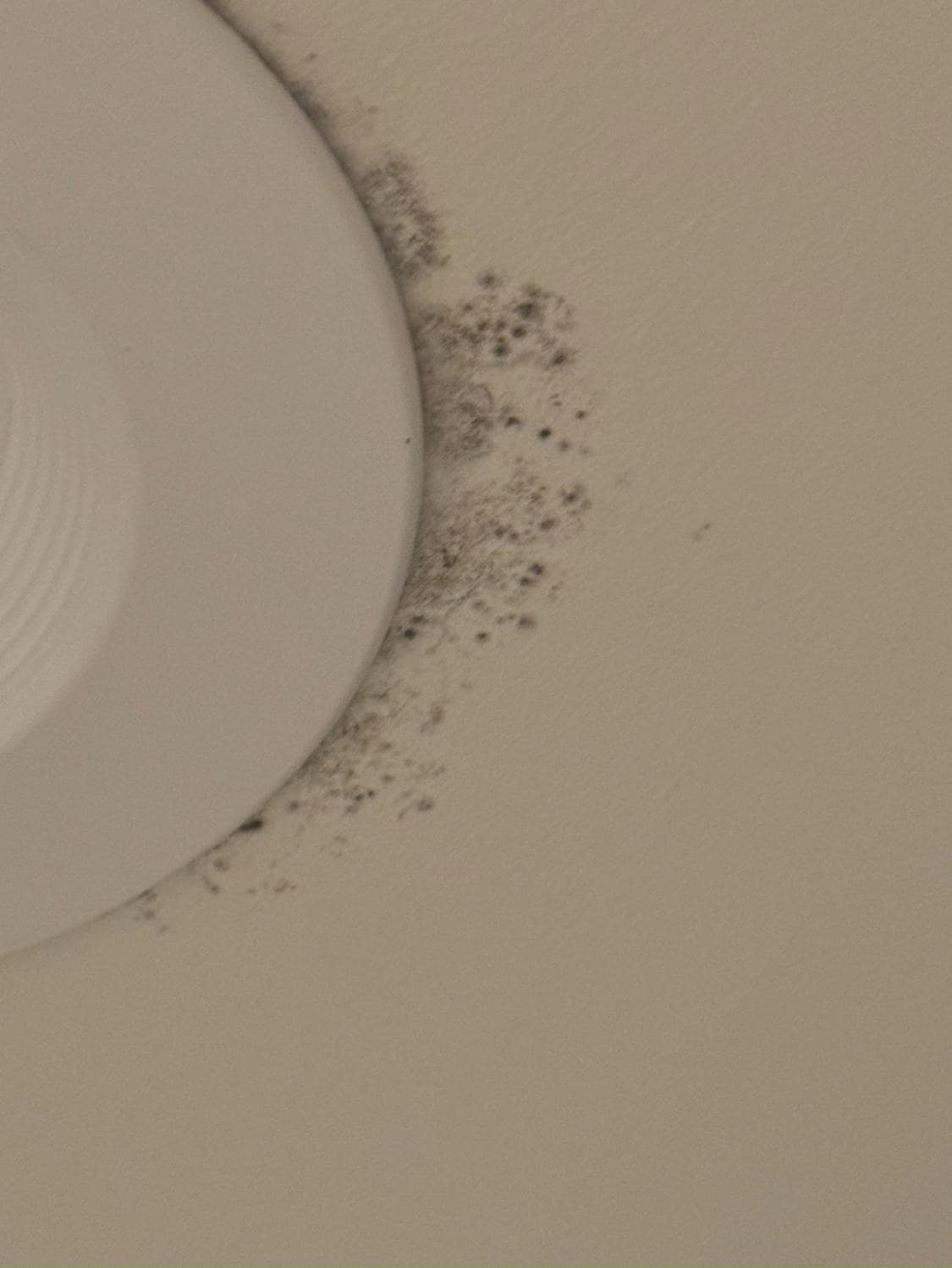 Mold on multiple locations 