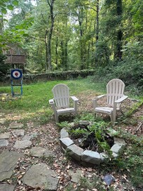 Overgrown unusable backyard