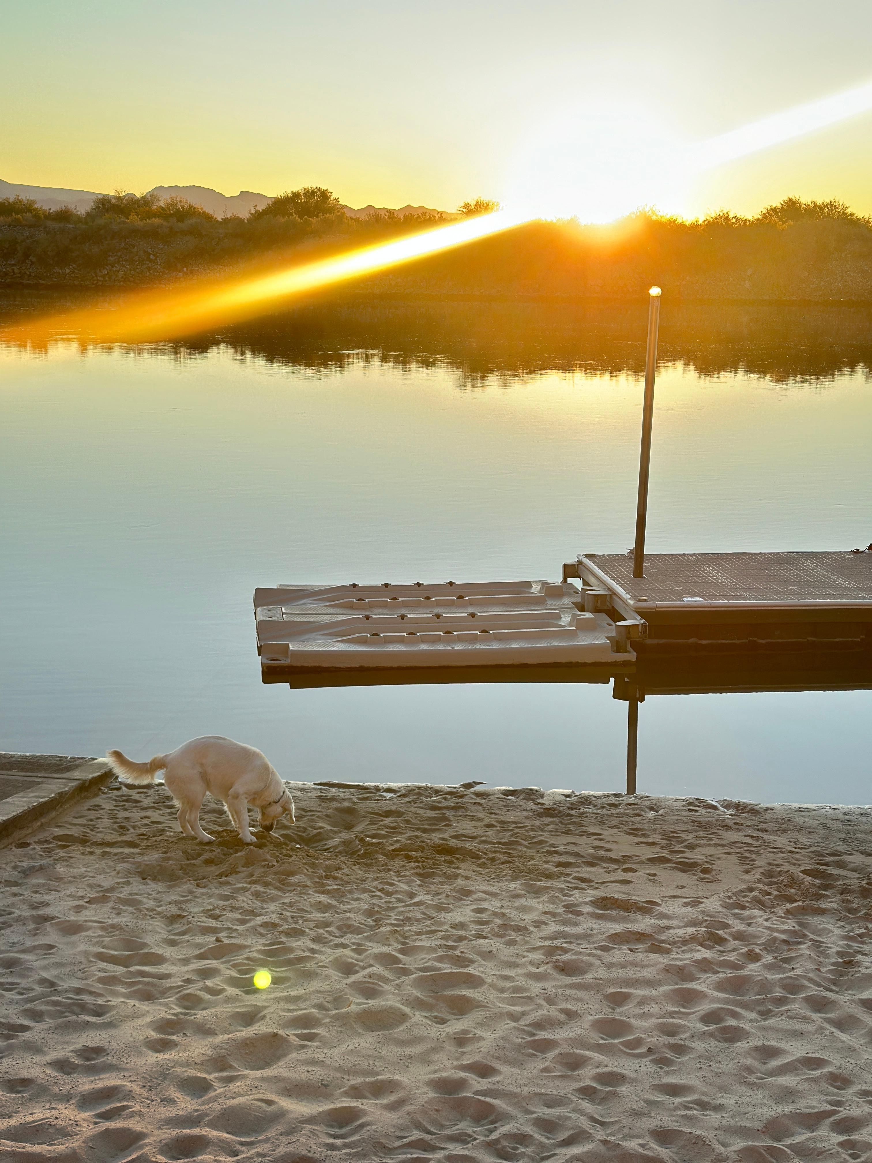 Morning in the private beach area so majestic. 