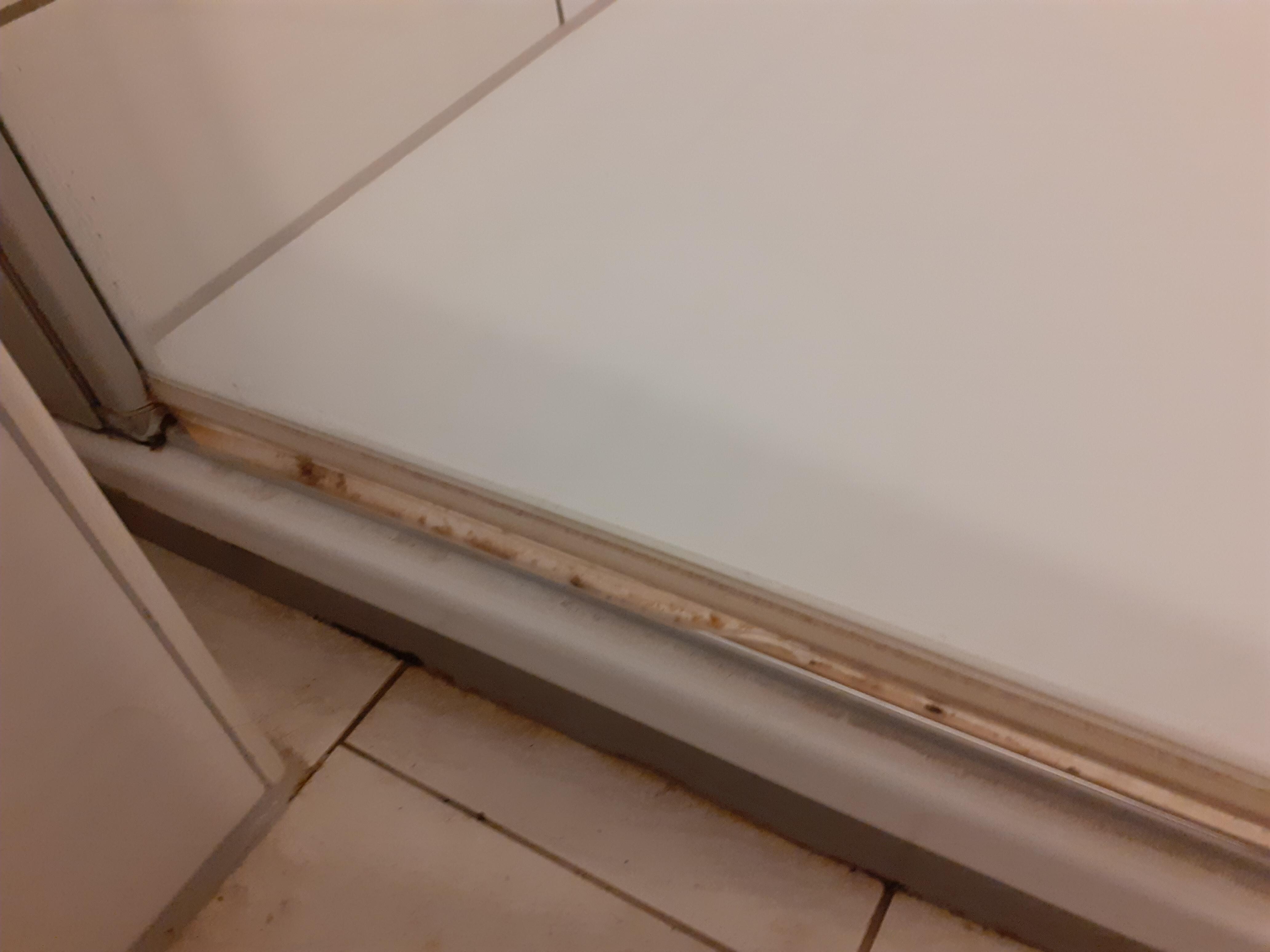 Dusche, Schimmel, alte Seifenreste