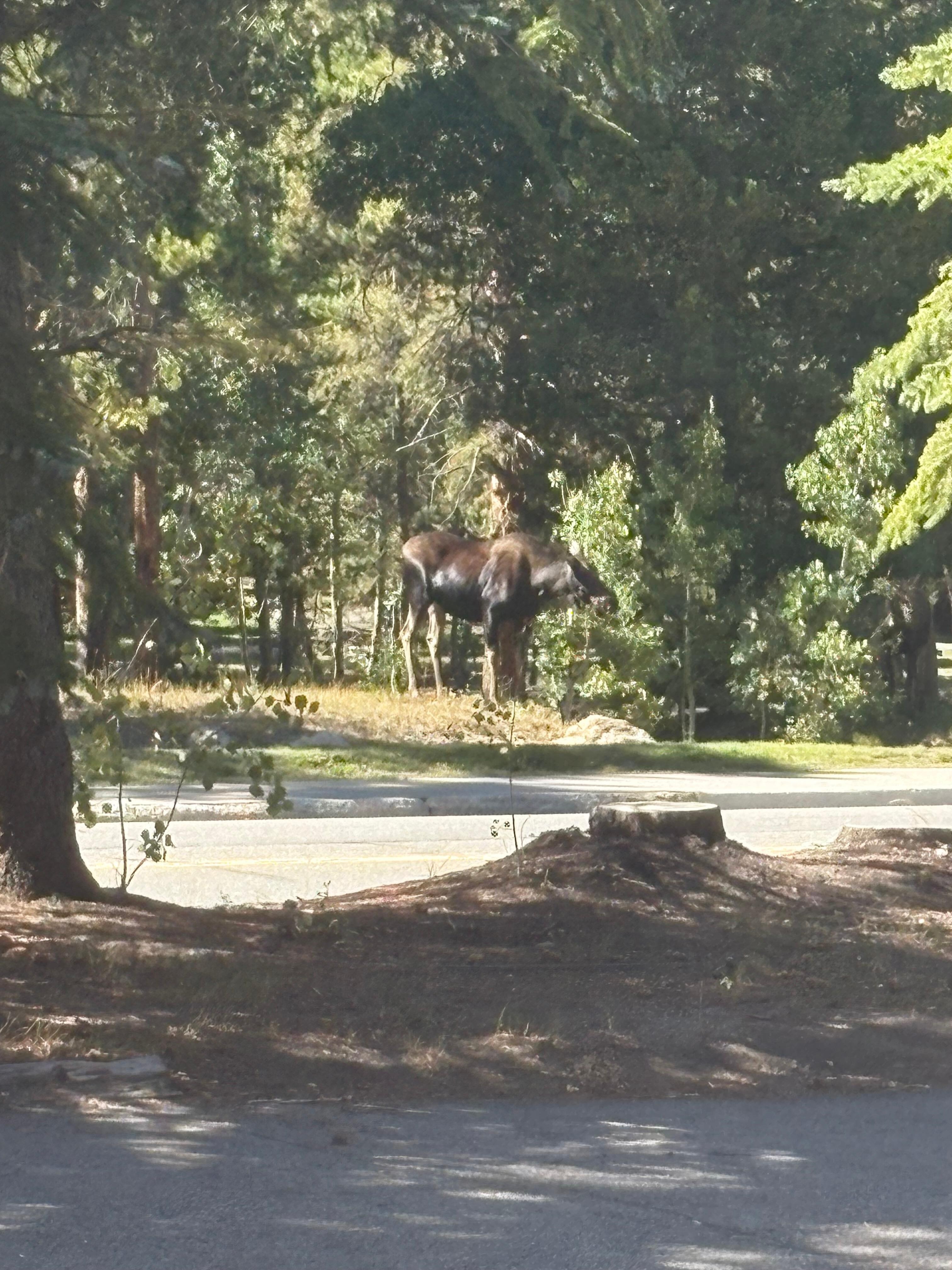 Right across the street. 