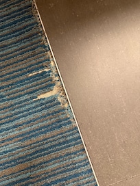 The rip in the carpet as soon as you walk in the door.