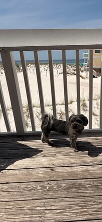Lucy loved the view!