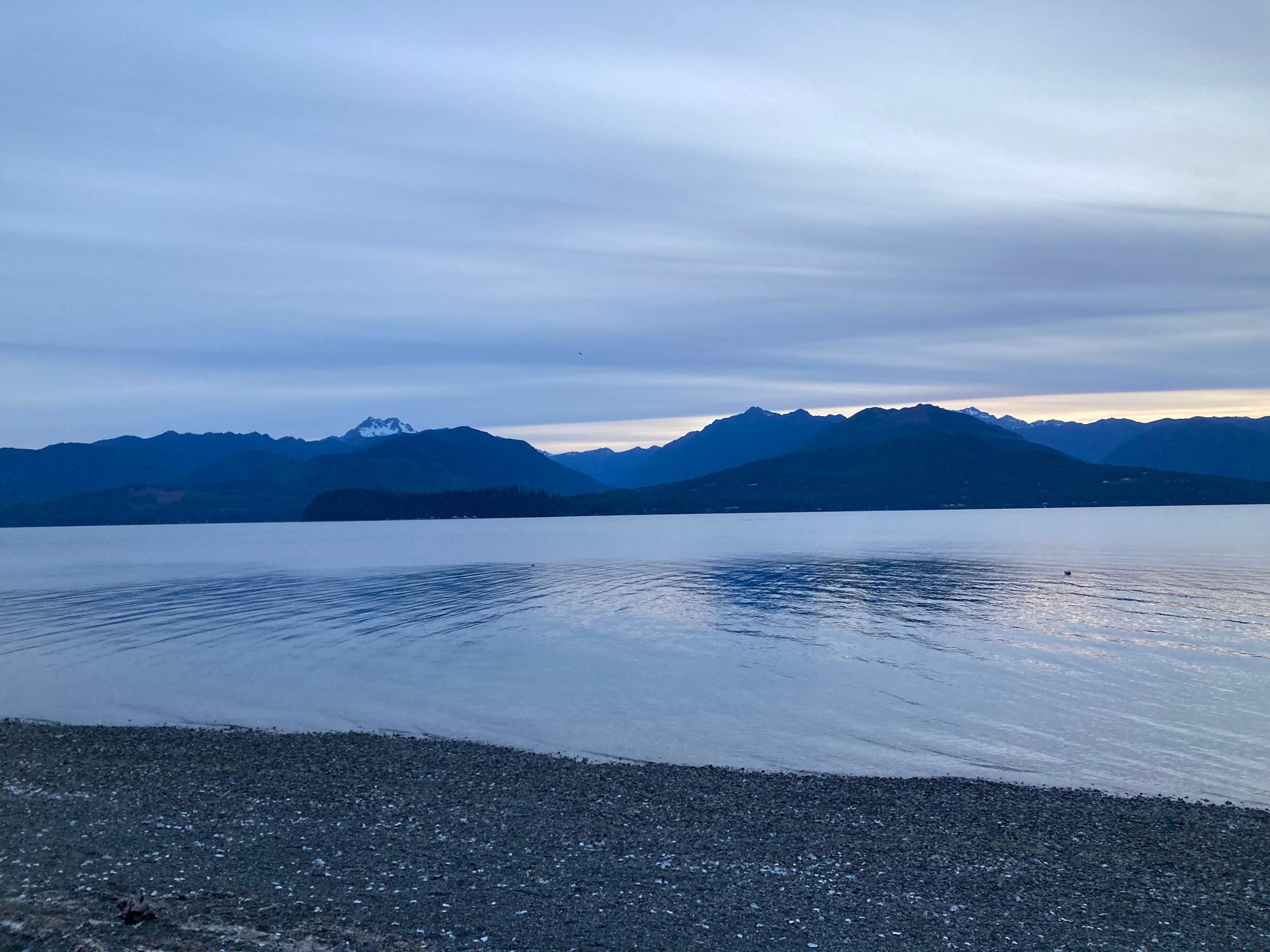 View from back porch 