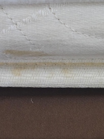 Bed bug residue
