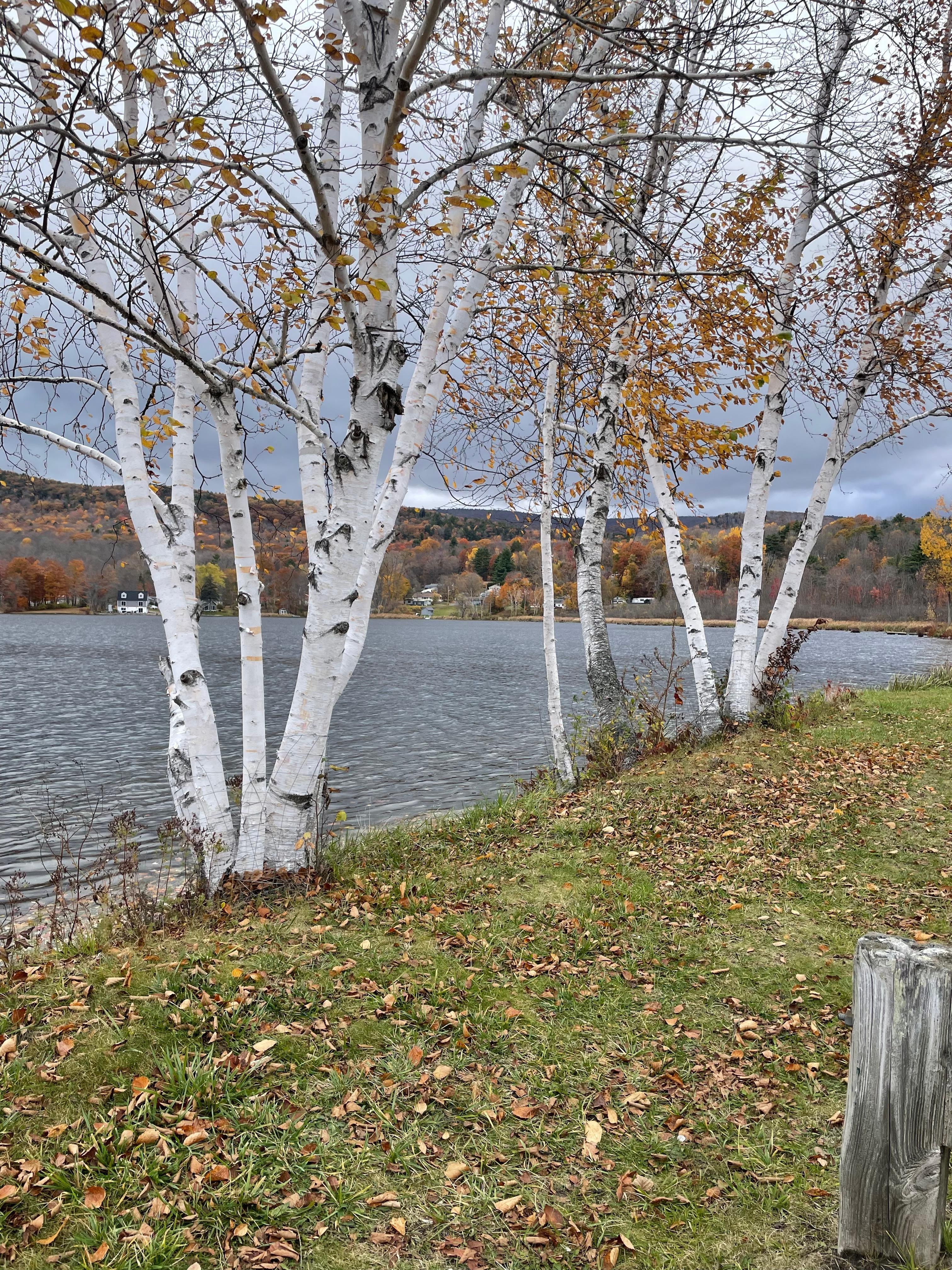 Not too far from the bike trail