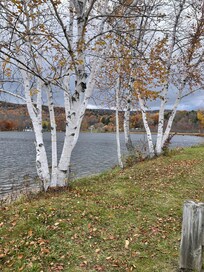 Not too far from the bike trail