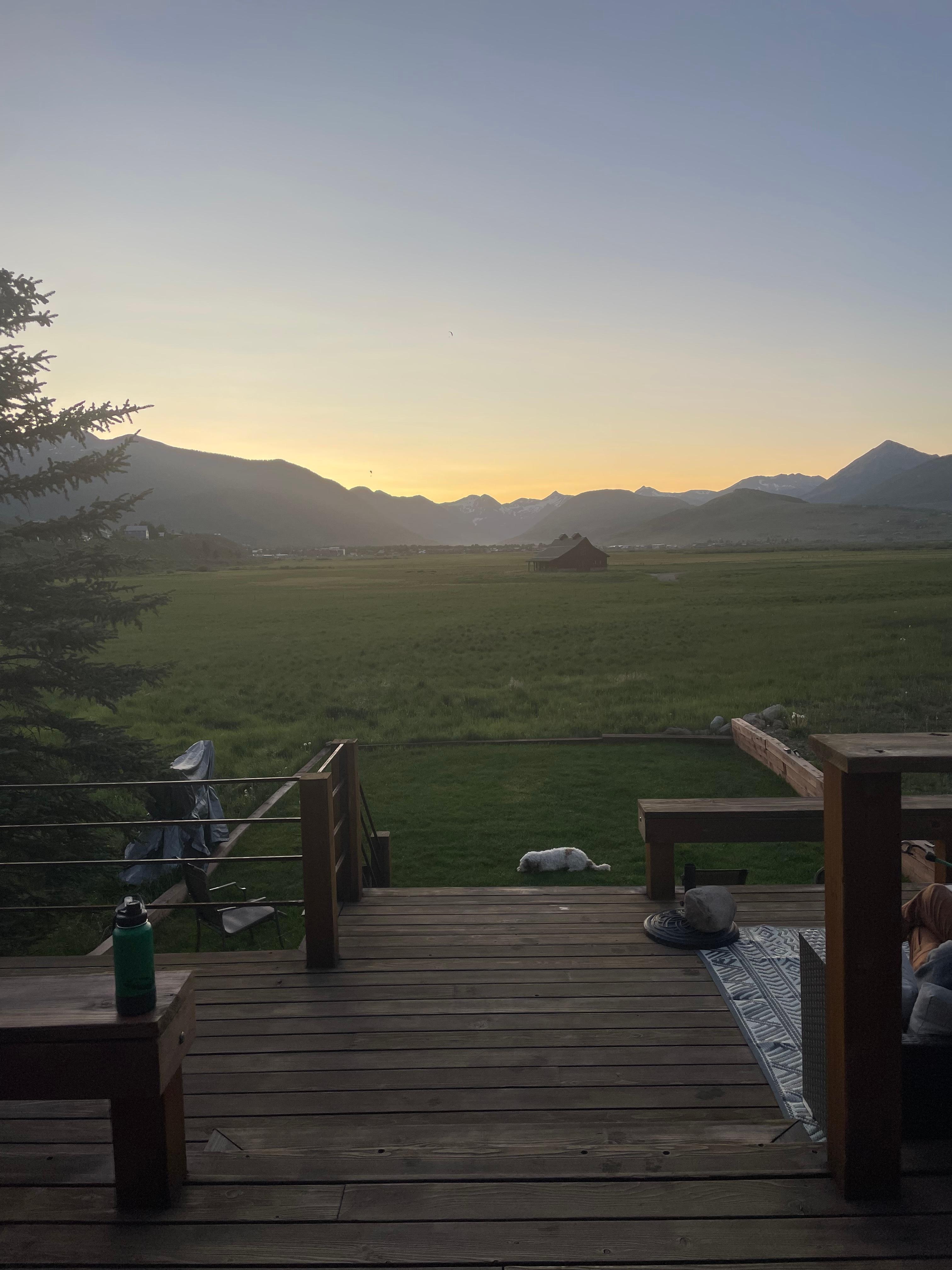 View from the back porch