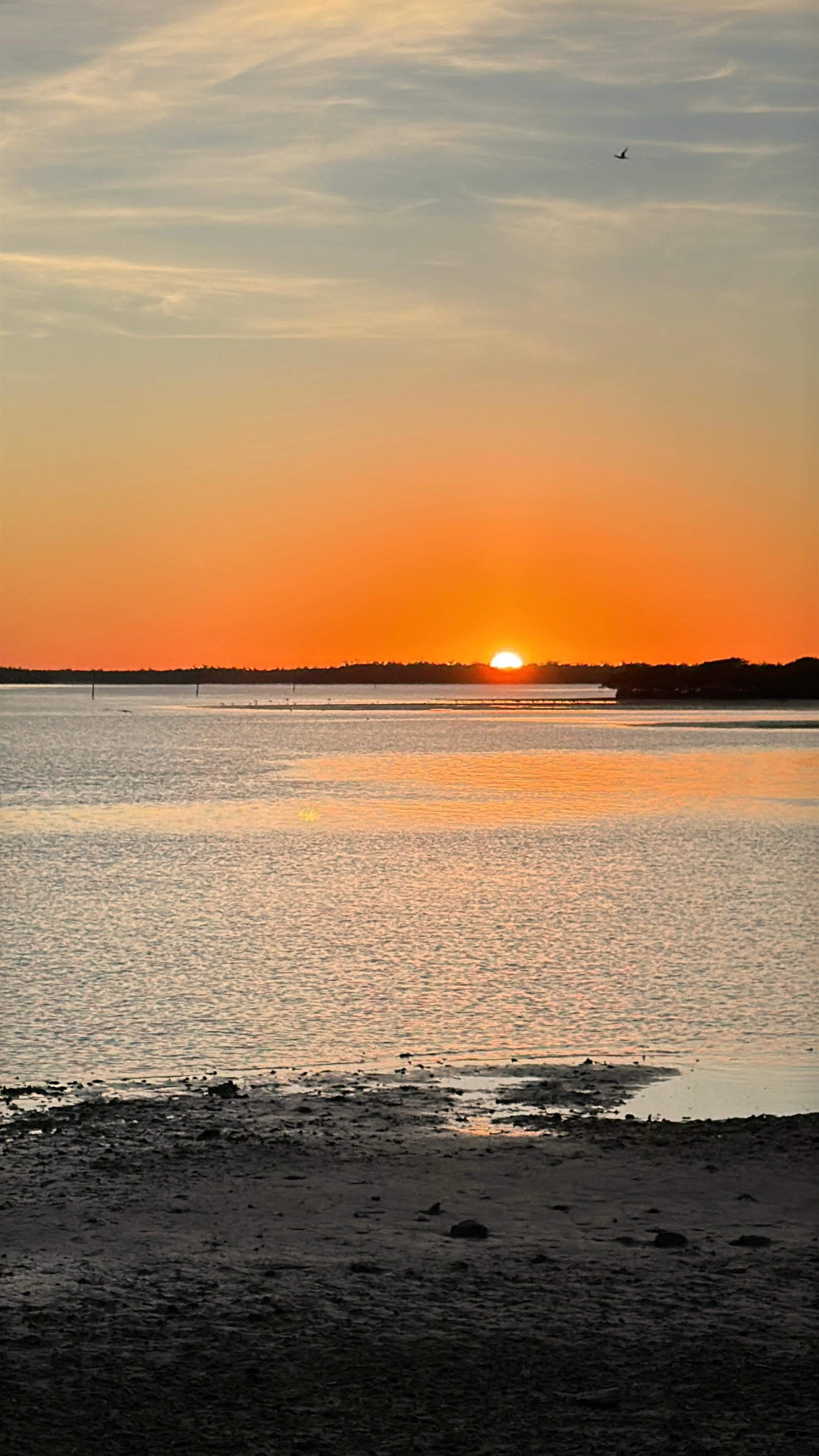 Sunrise at SS Jolley Bridge