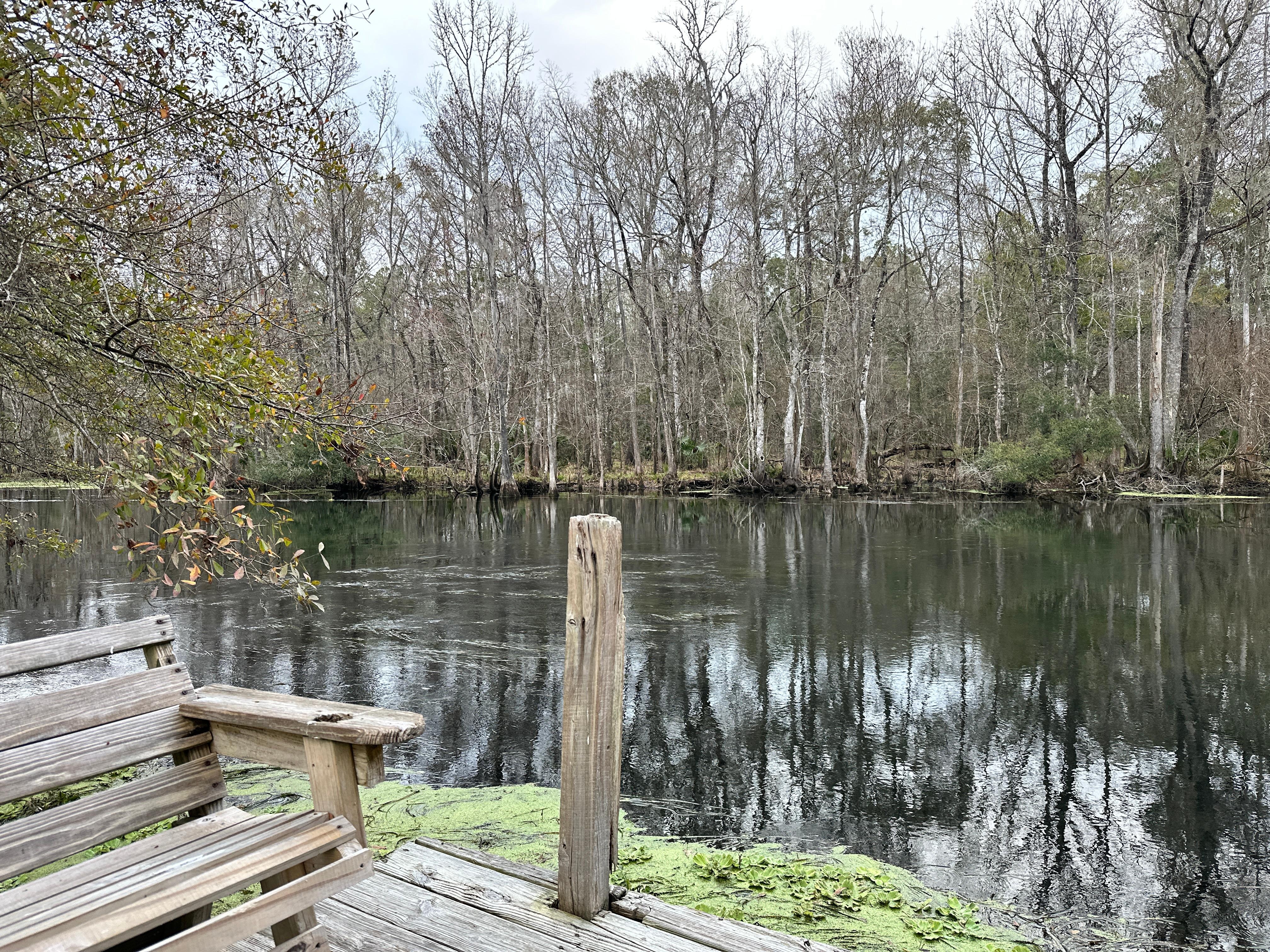 Upstream standing on the dock