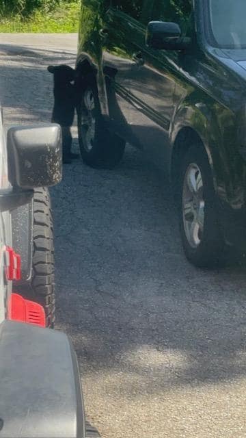 Taken from a window. 