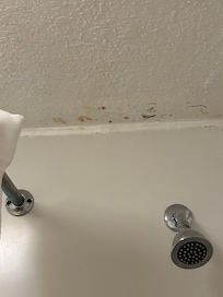 Mold