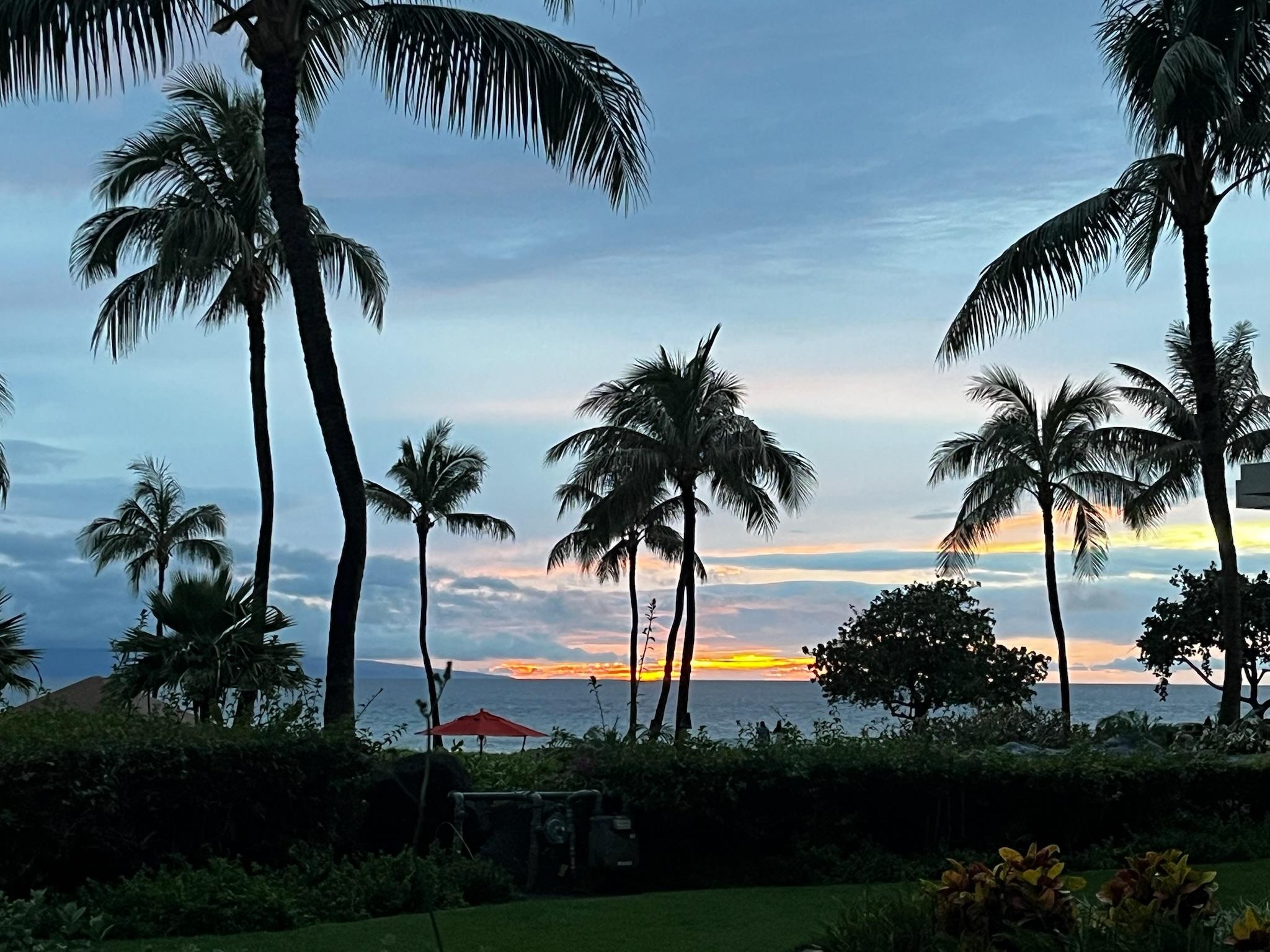 Gorgeous Sunsets!