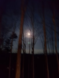 The night views were spectacular.