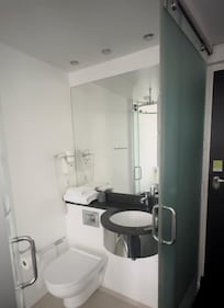 Toilet sink