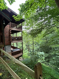 A look out from the driveway out to the forest and steep incline behind the cabin.