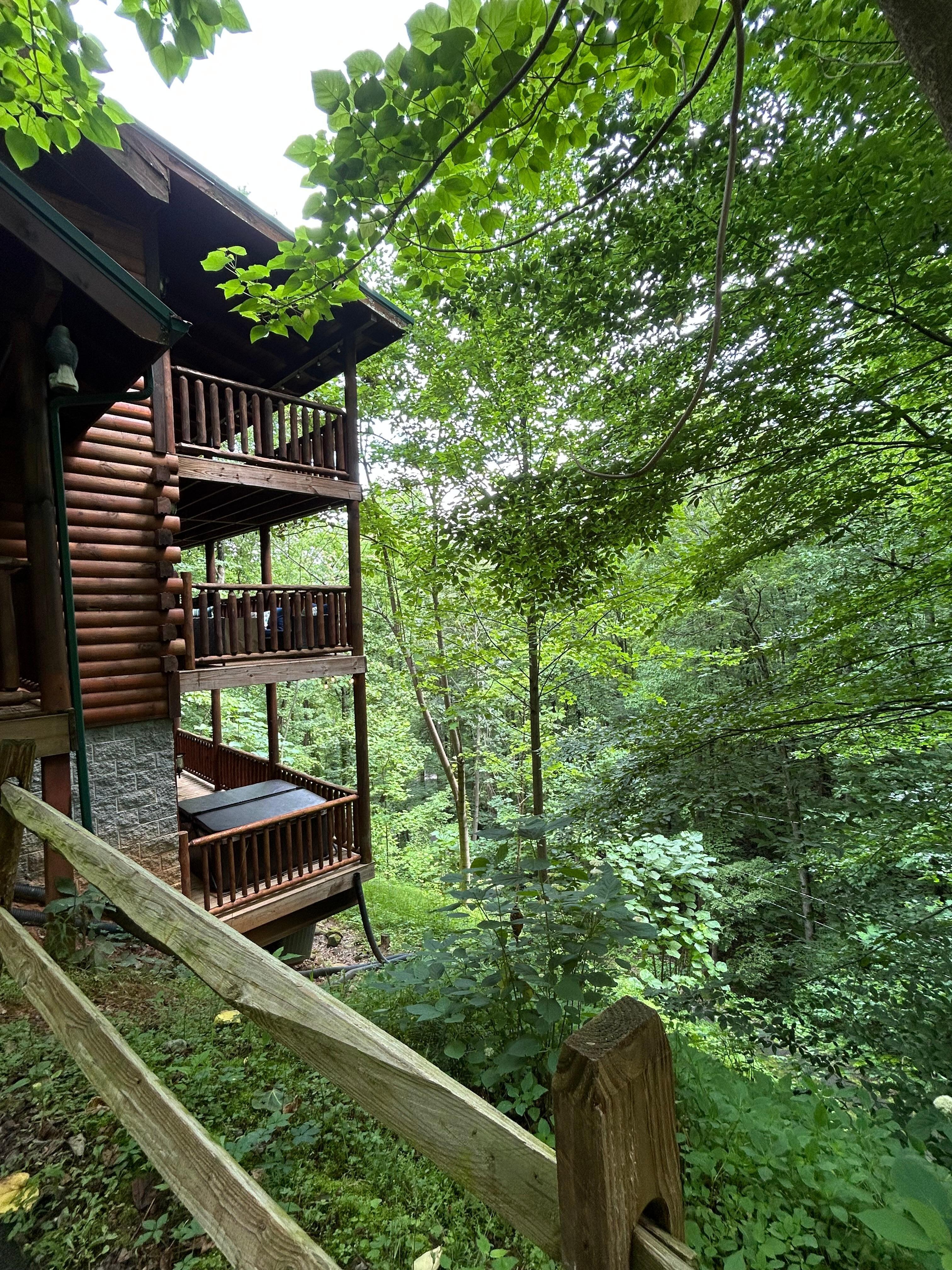 A look out from the driveway out to the forest and steep incline behind the cabin.