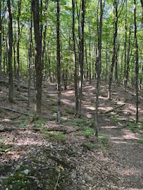 Resort private hiking trail