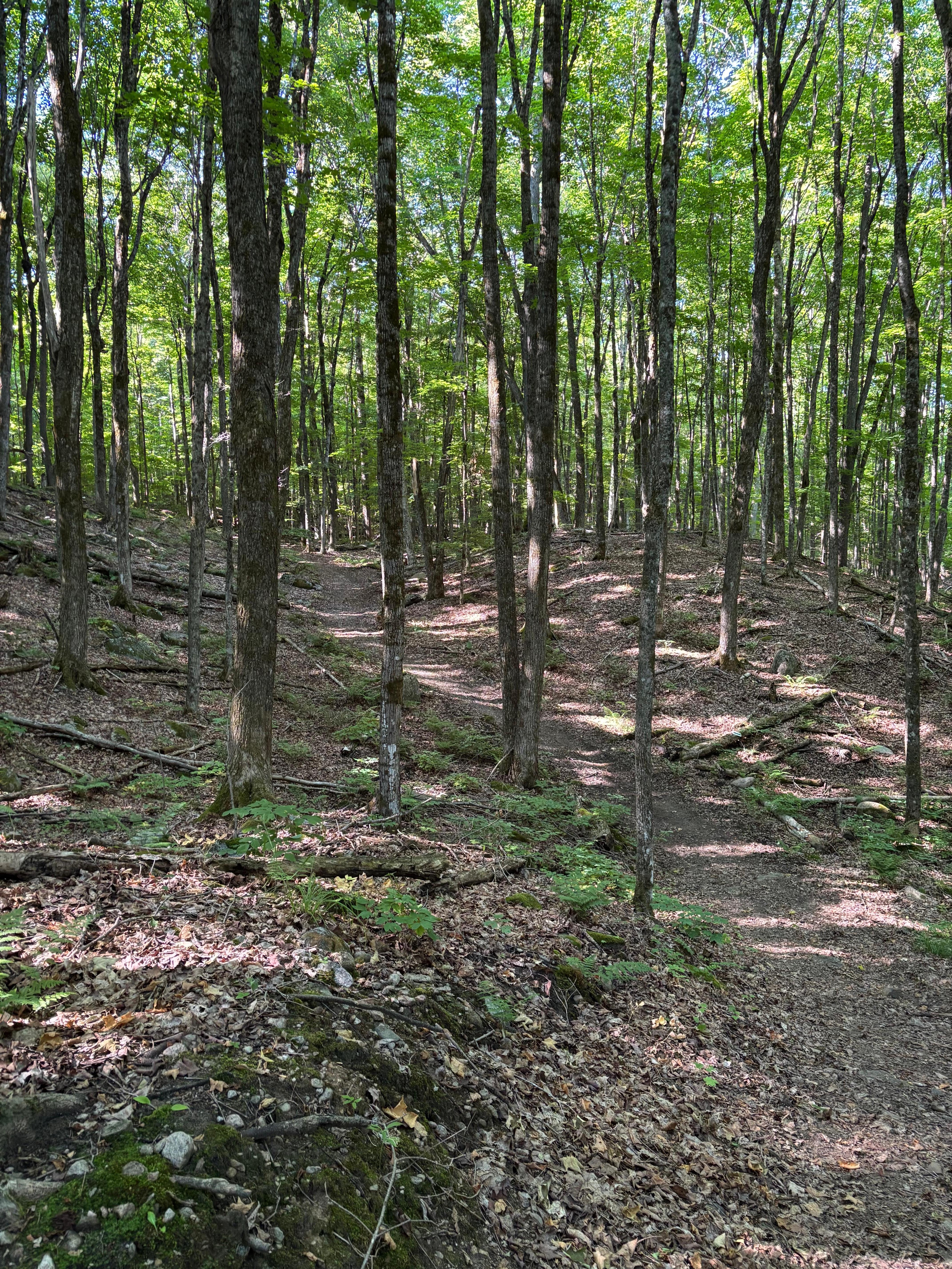 Resort private hiking trail