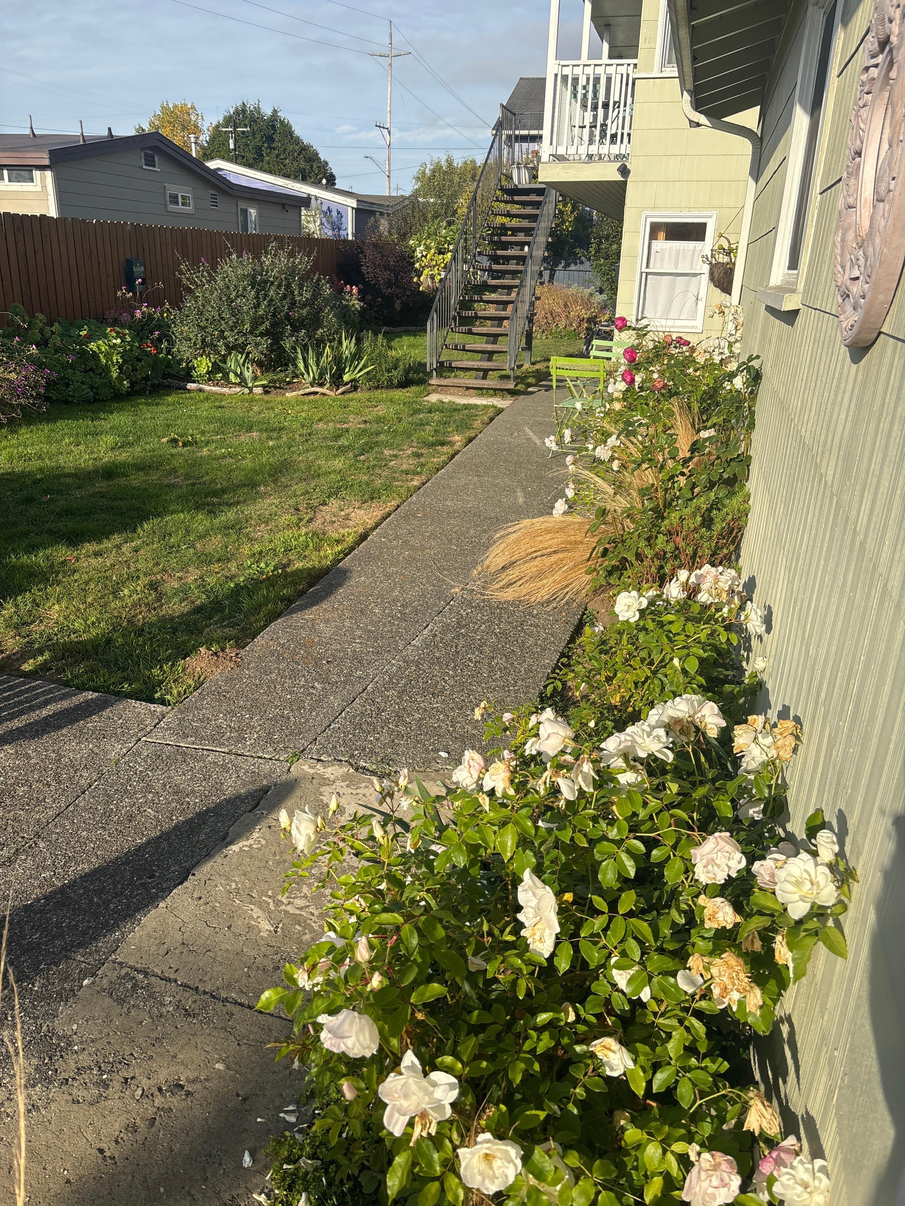Beautiful and accessible garden, fully fenced!