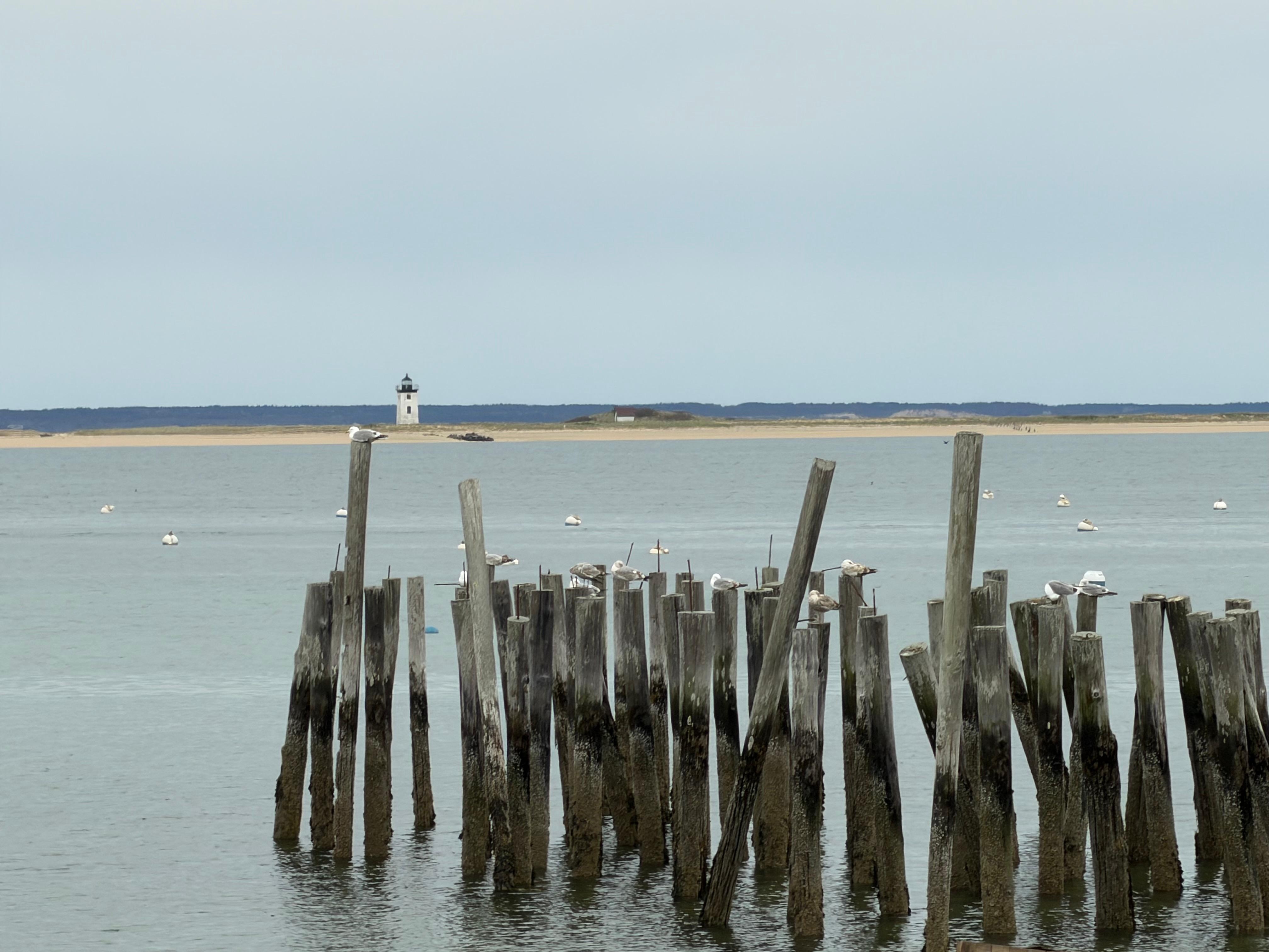 A shot from the beach in town
