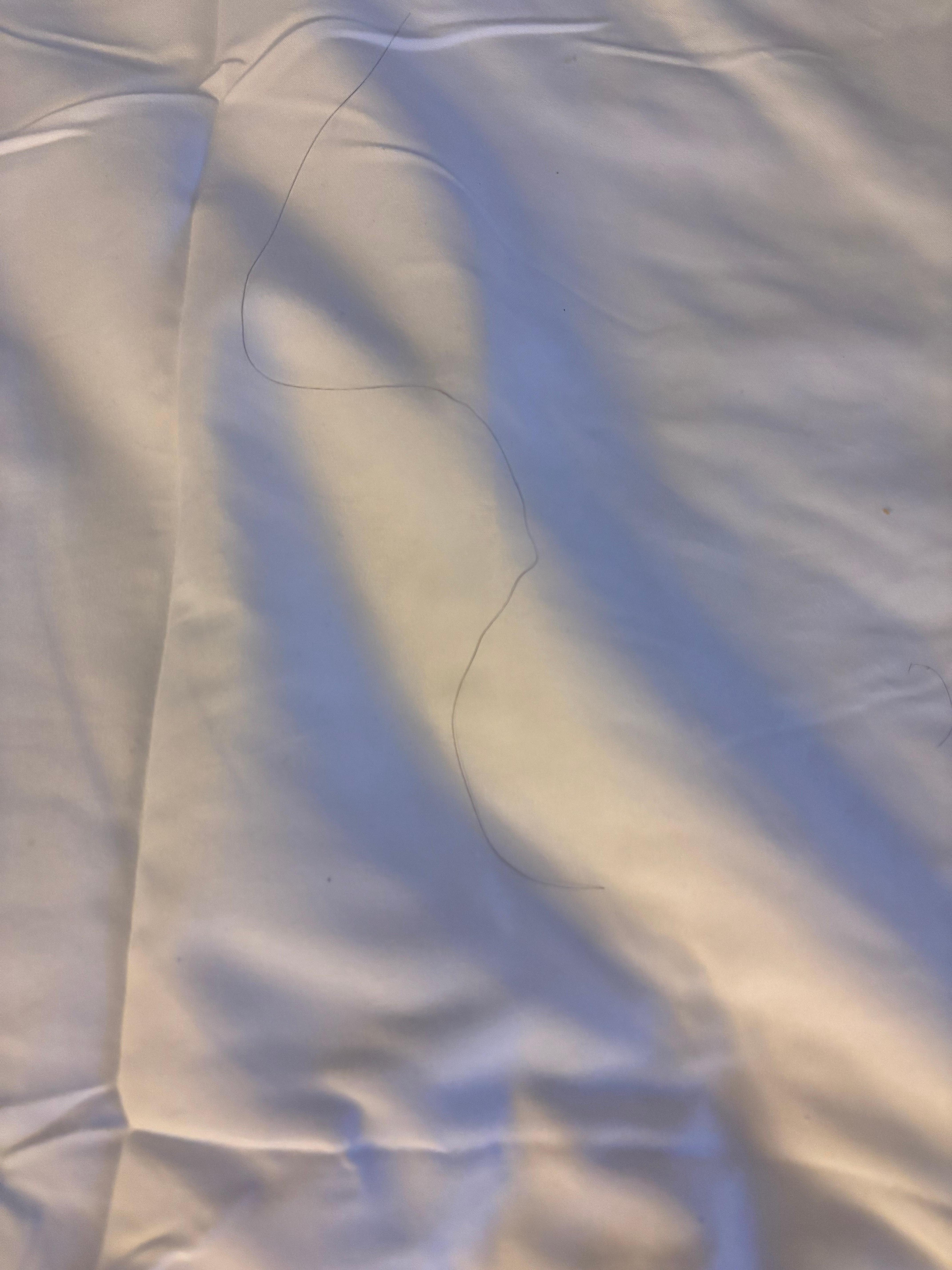 Hair on the sheets as I lifted them to get in not even got in the bed 