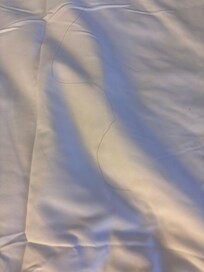Hair on the sheets as I lifted them to get in not even got in the bed