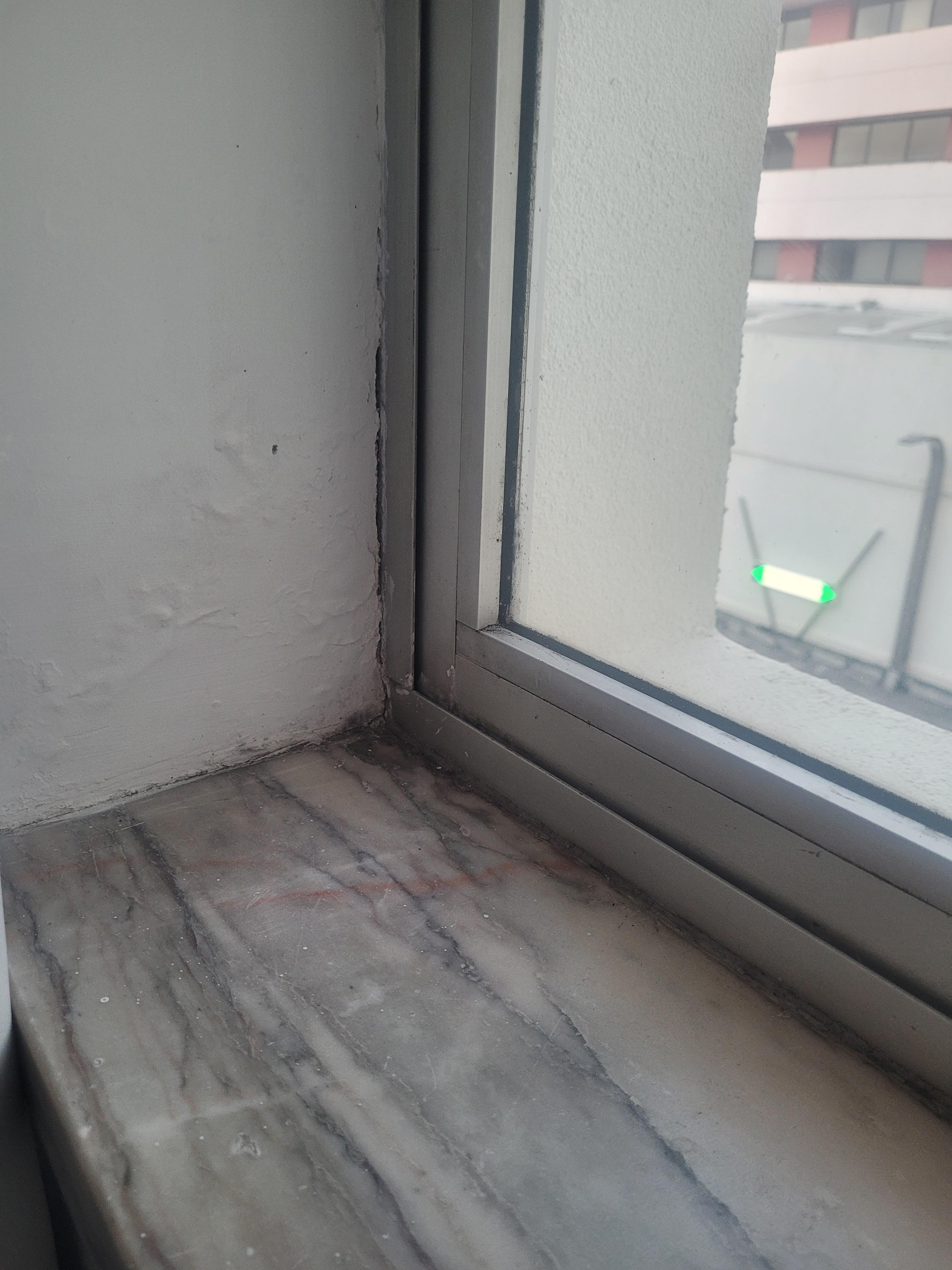 Mold on window