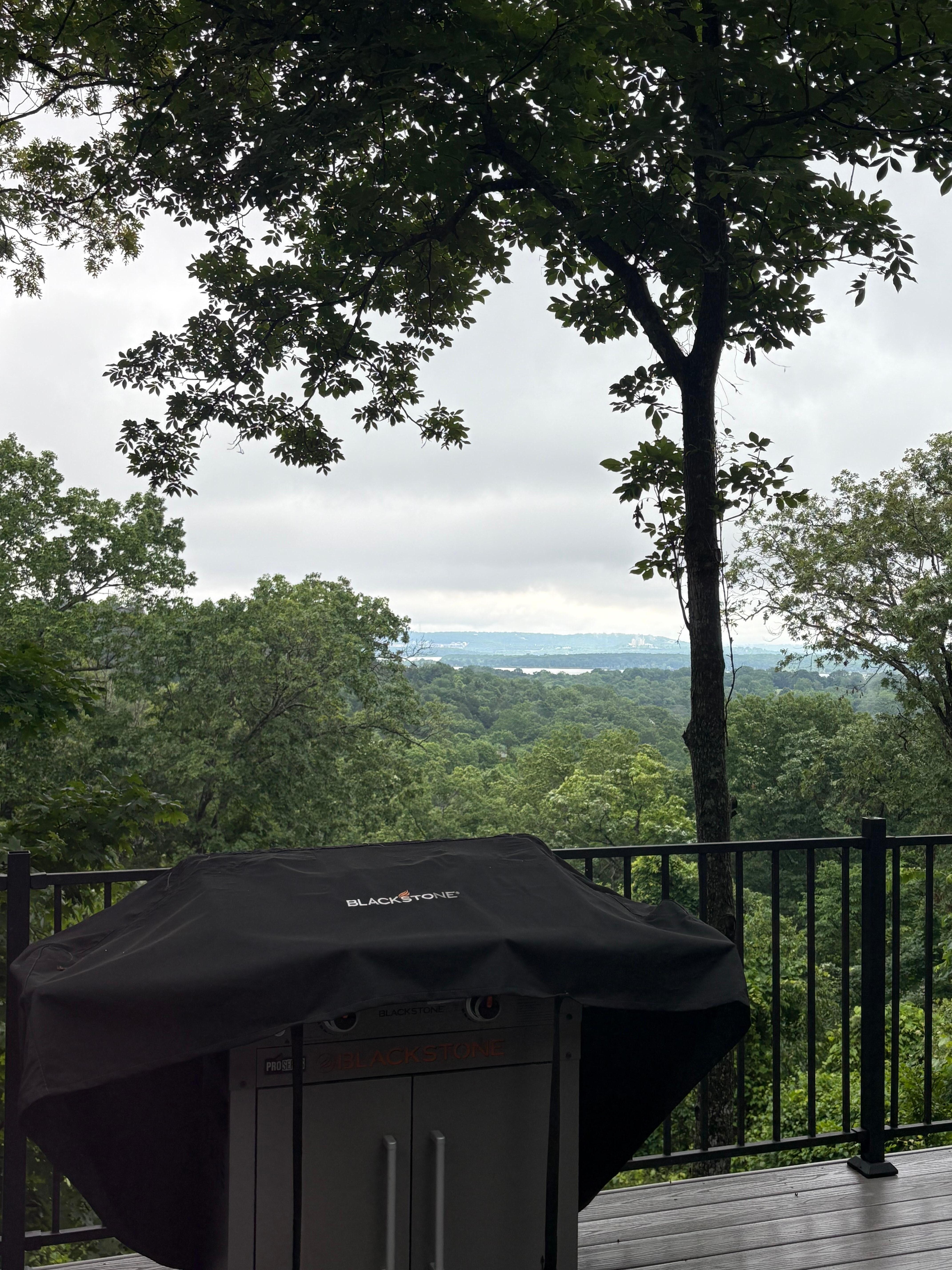 Loved this view!