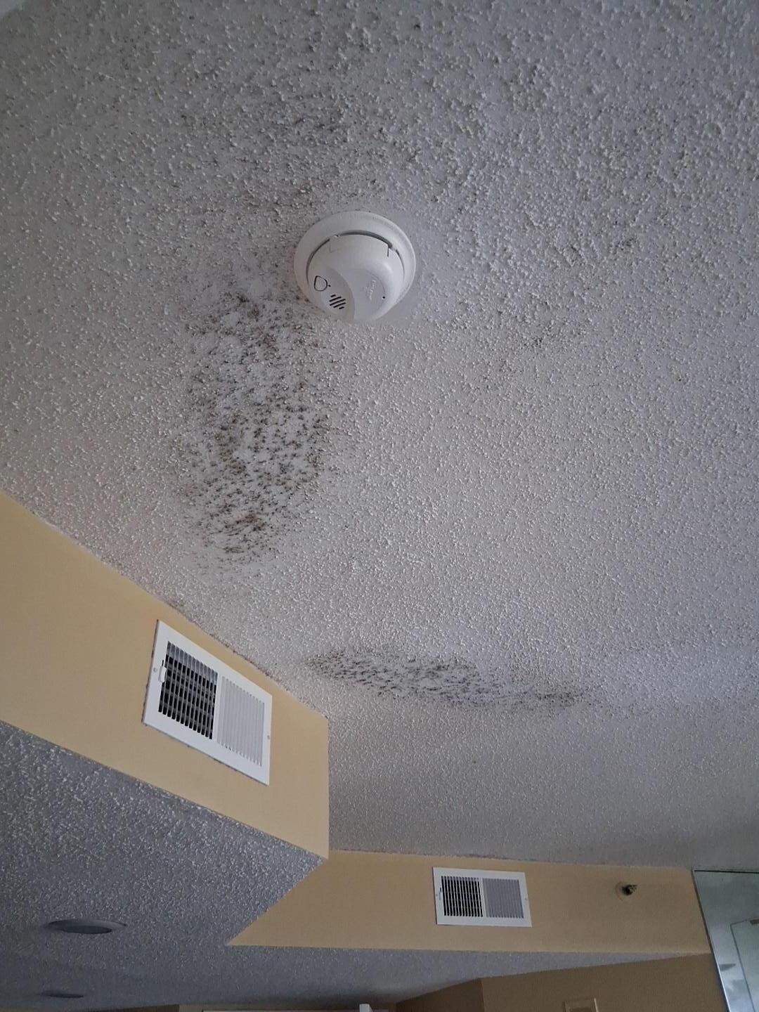 Mold on ceilings 