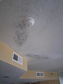 Mold on ceilings