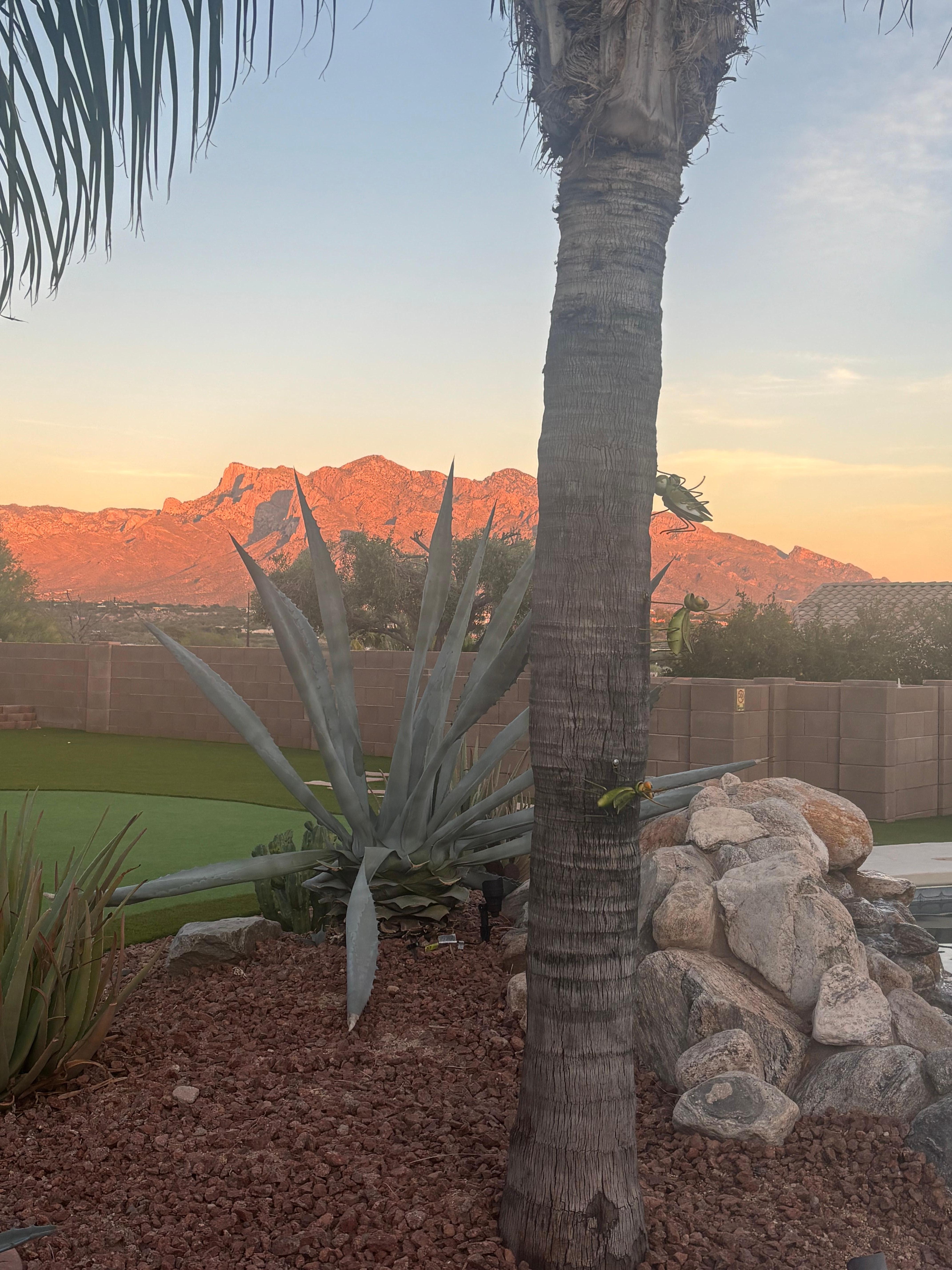 The mountains look even more beautiful as the sun  sets!