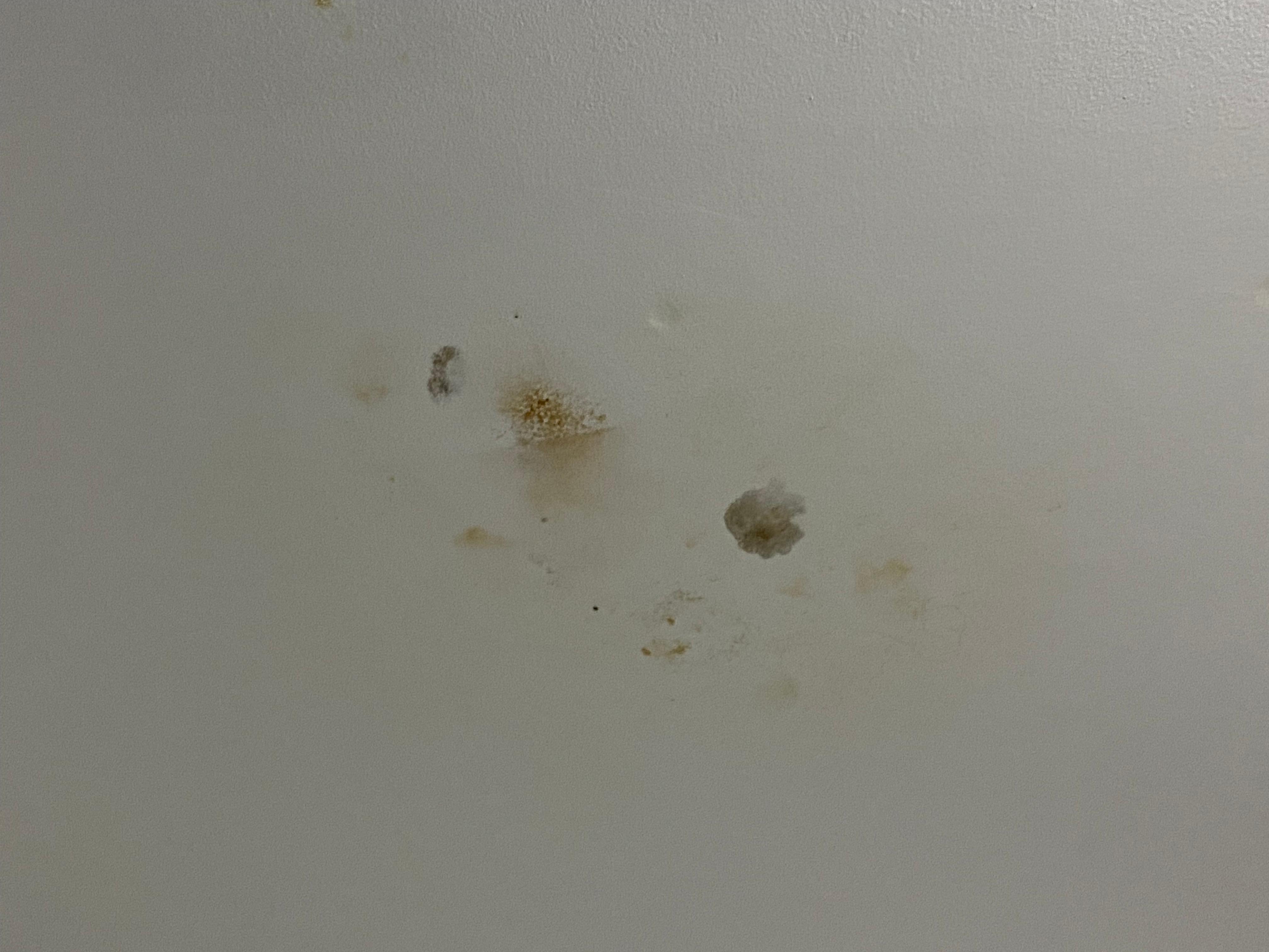 Bathroom ceiling had mold and water damage. 