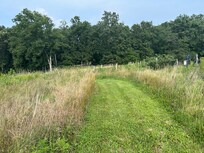 Trails around the property