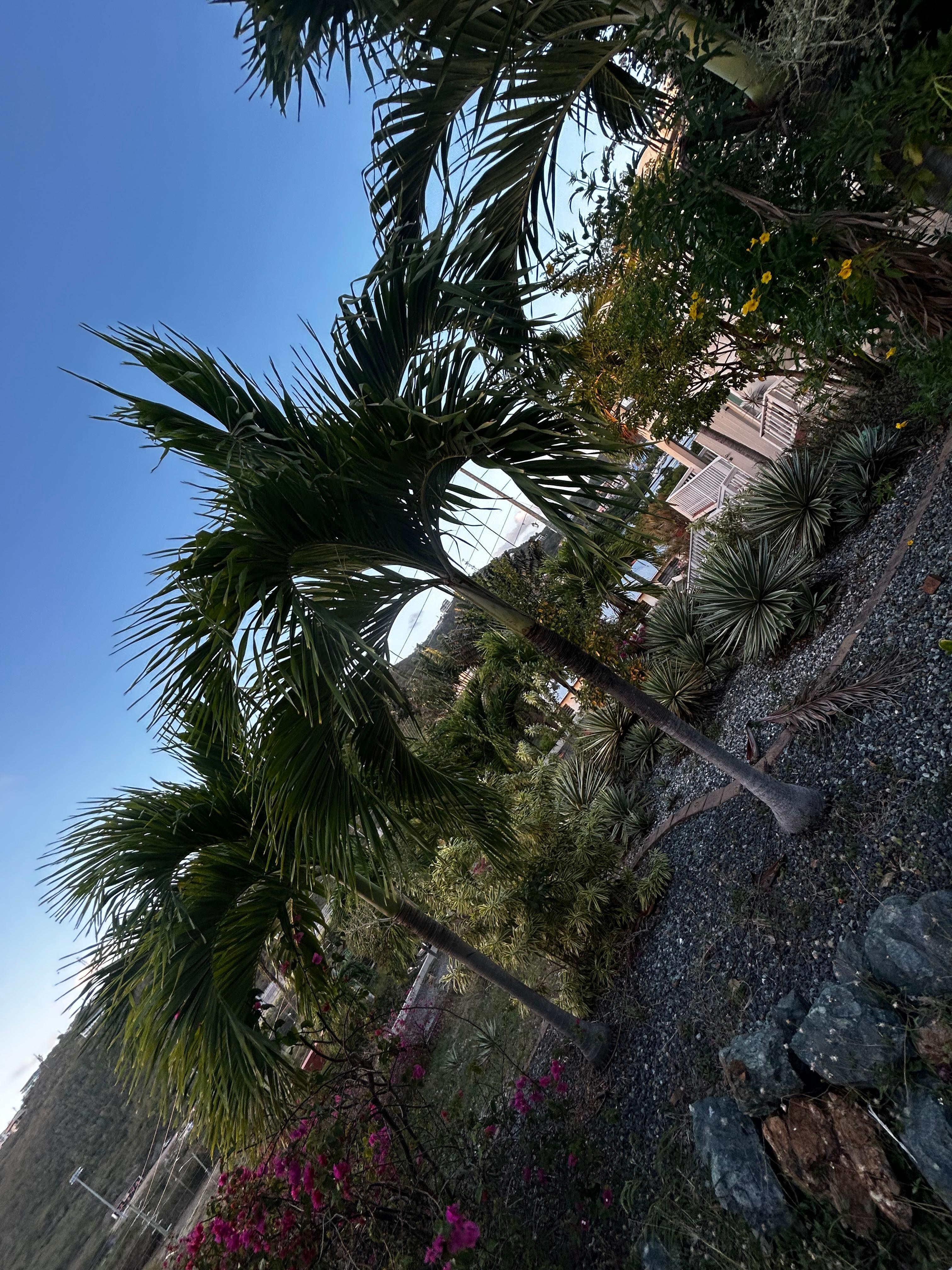 outside area around hotel