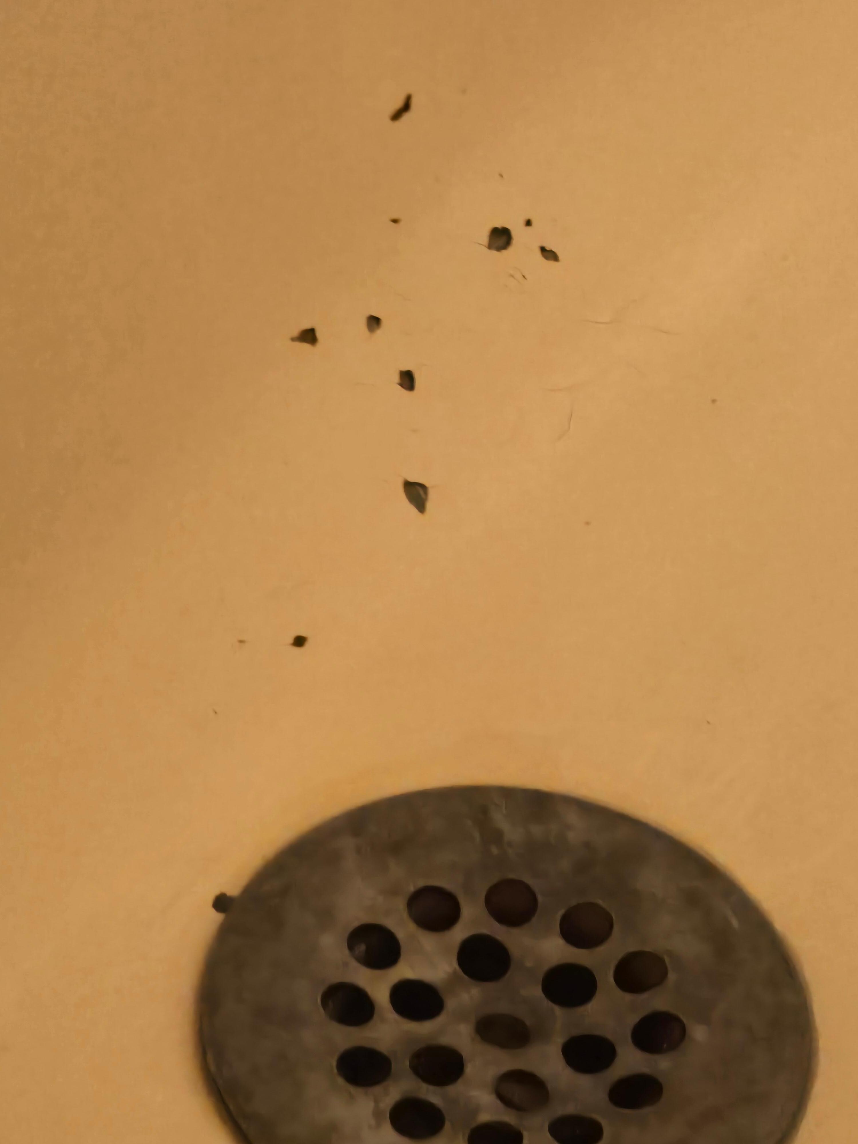 Bathtub