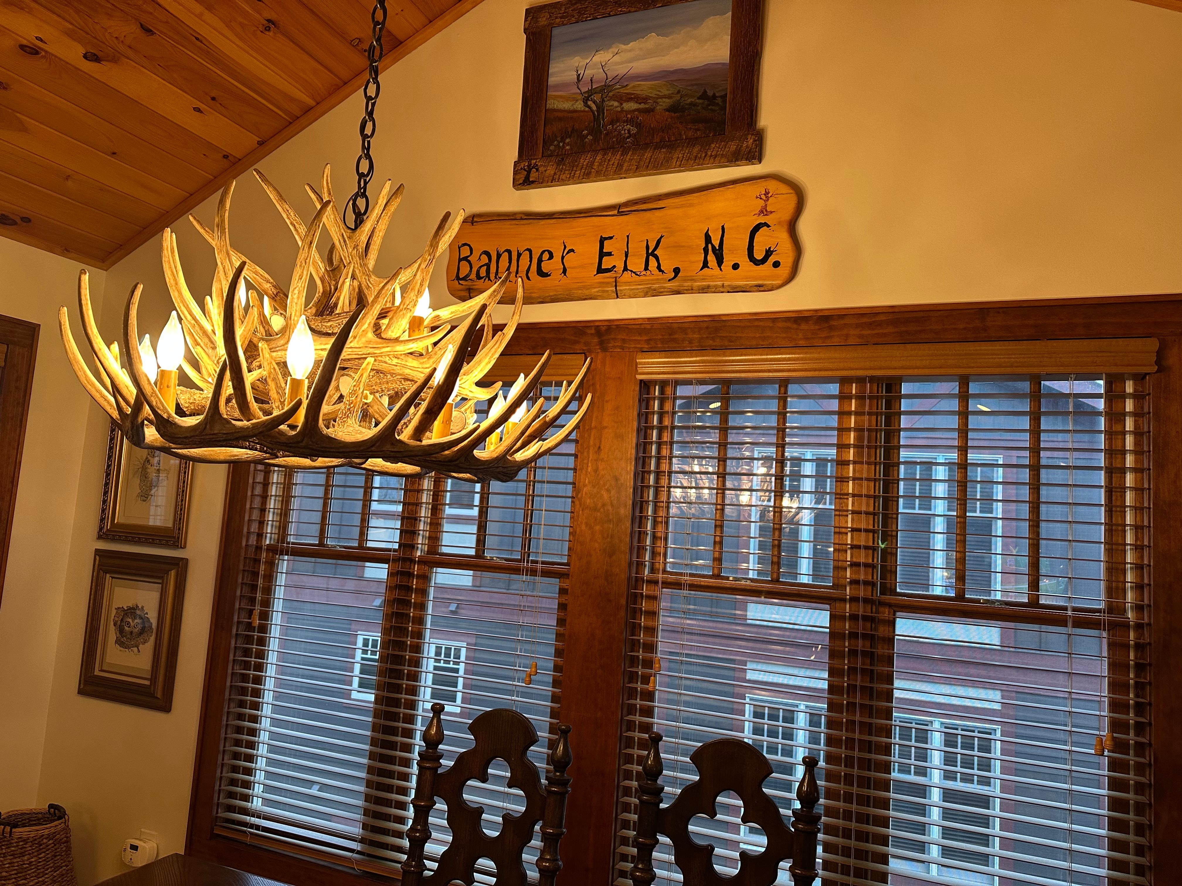 nice dining room light