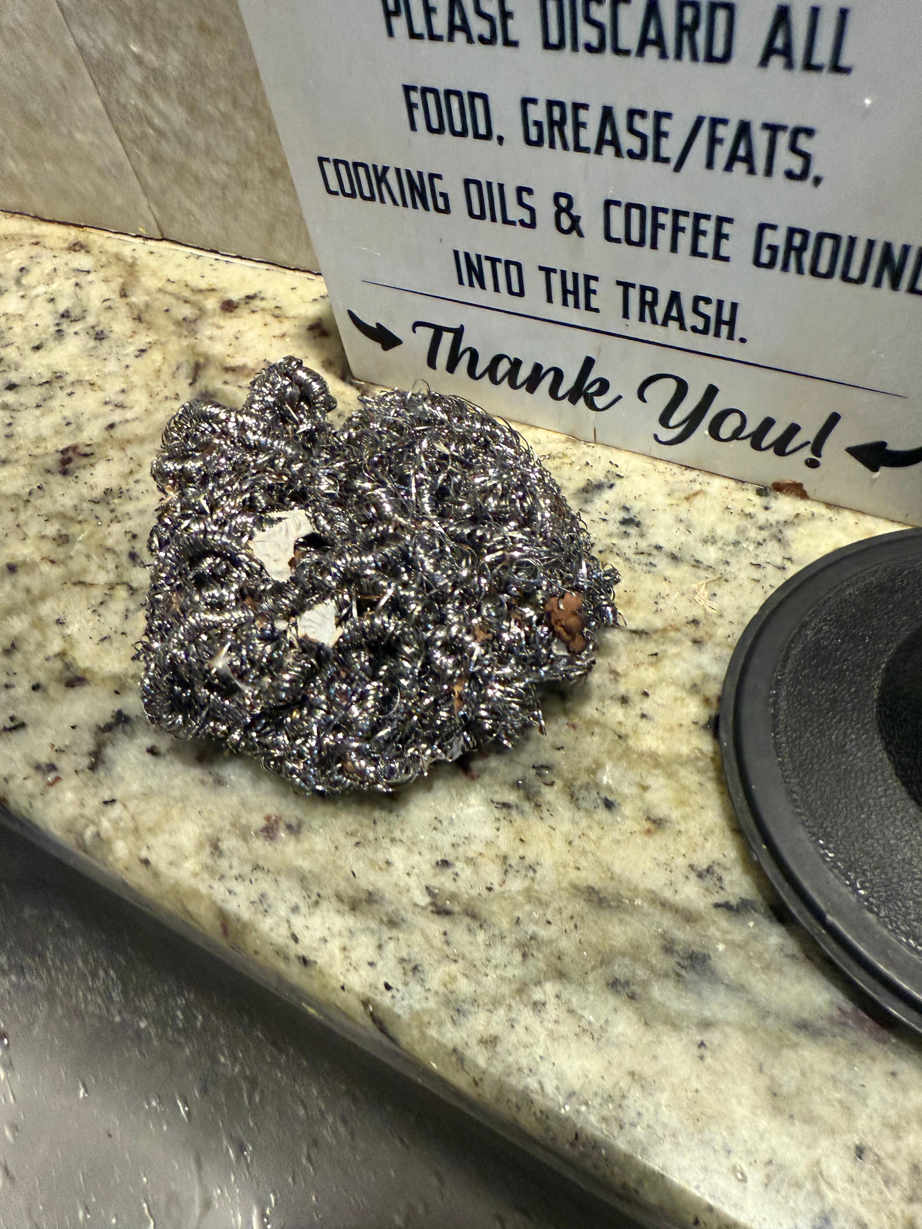 This was the sponge on the counter when we got there 🤢