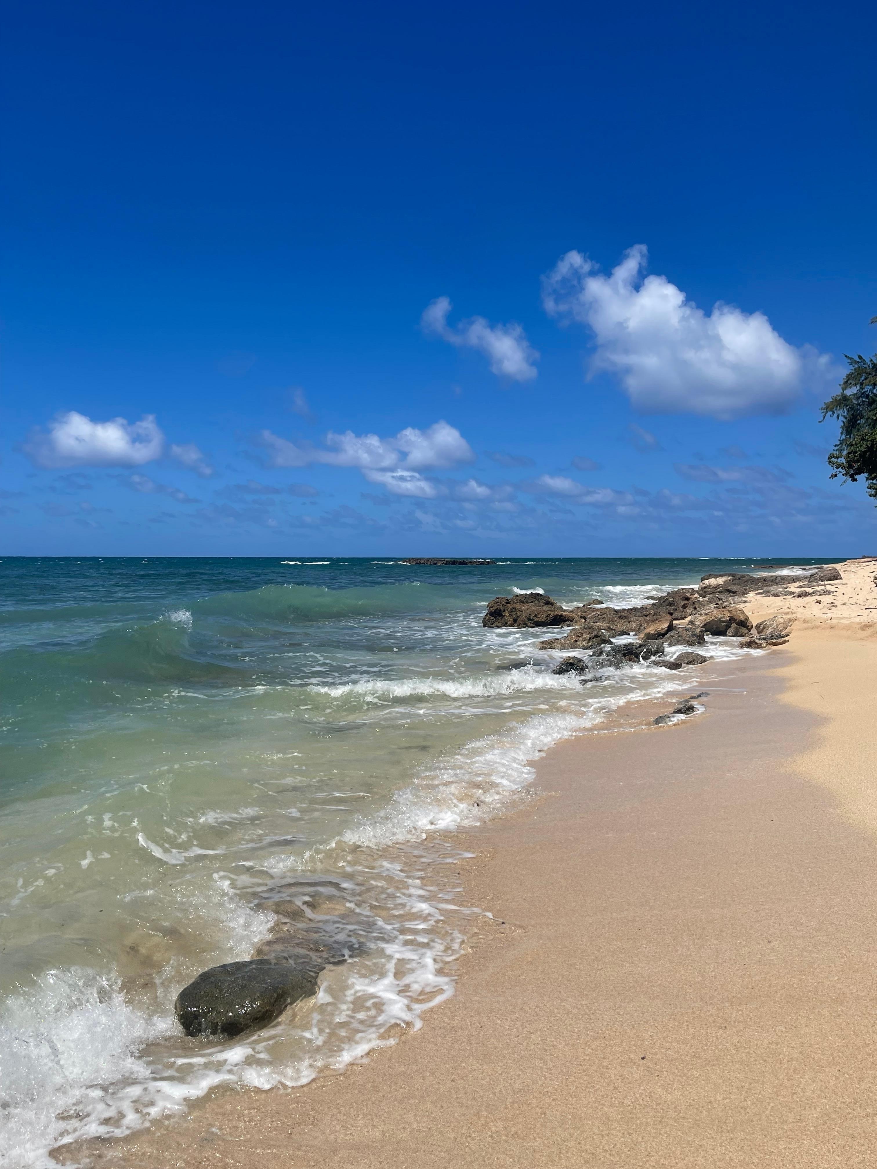 Lovely beach walks and tide pool exploring