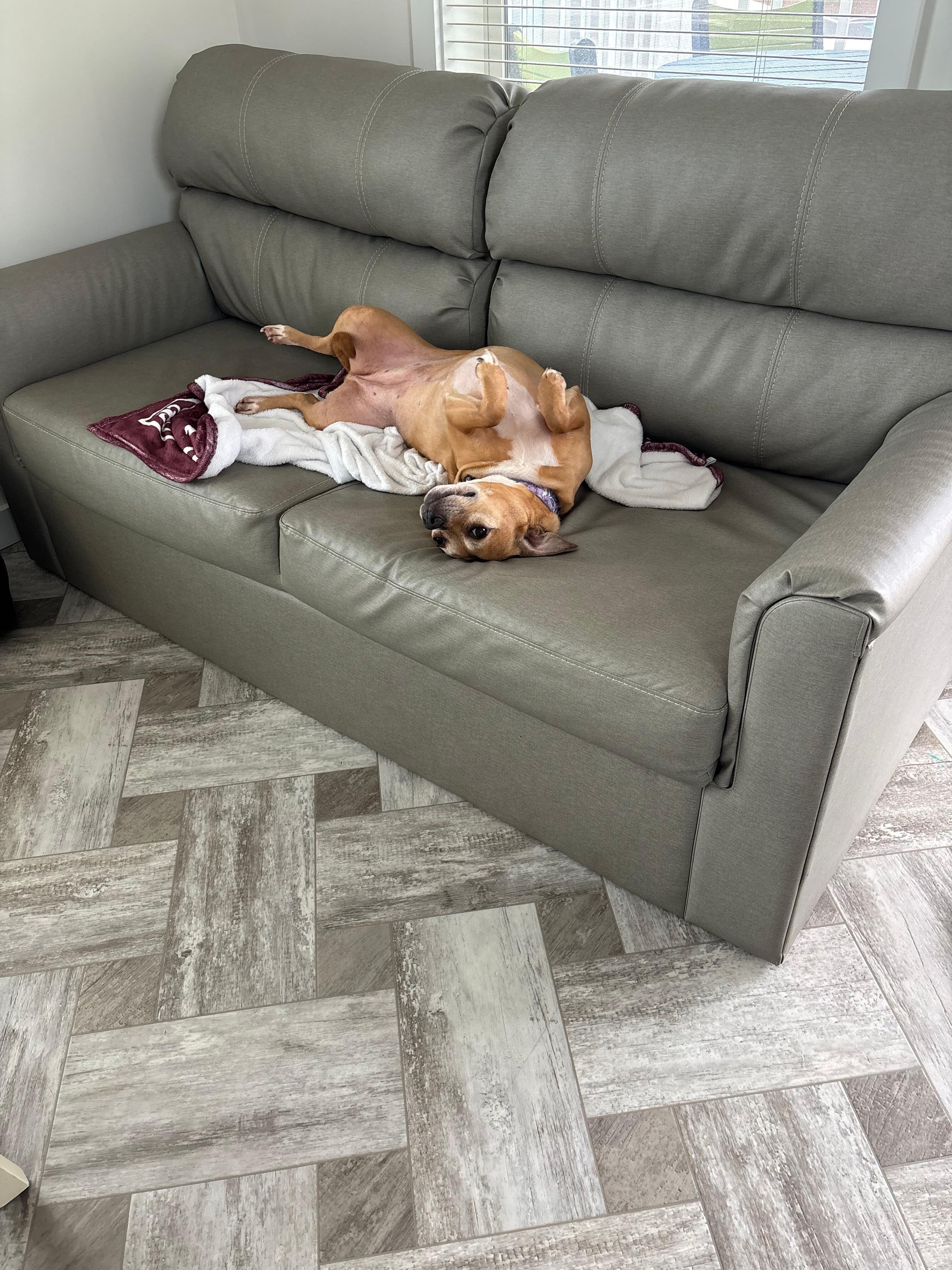 She was super happy and relaxed. 