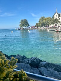 By the lake