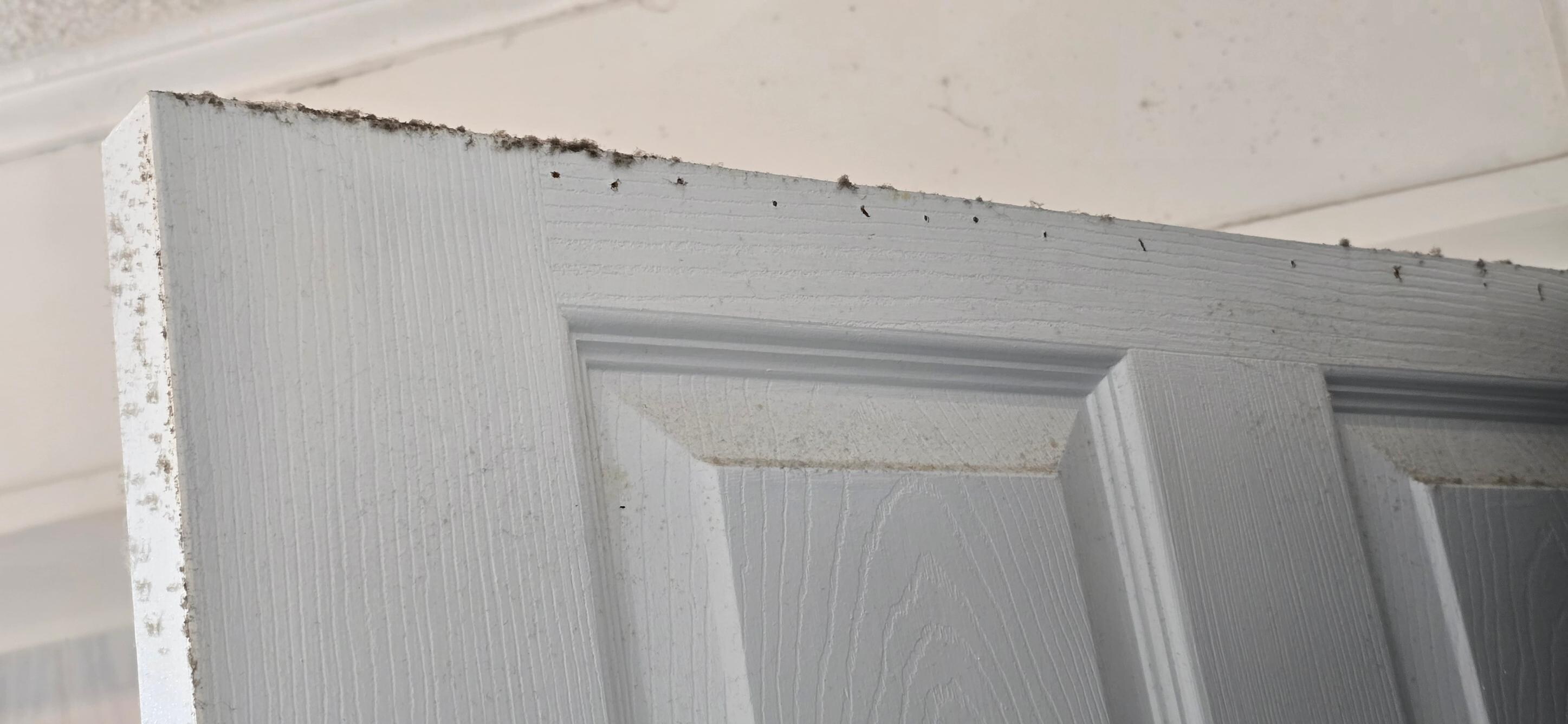 Door to utility closet in downstairs bedroom covered in dust.
